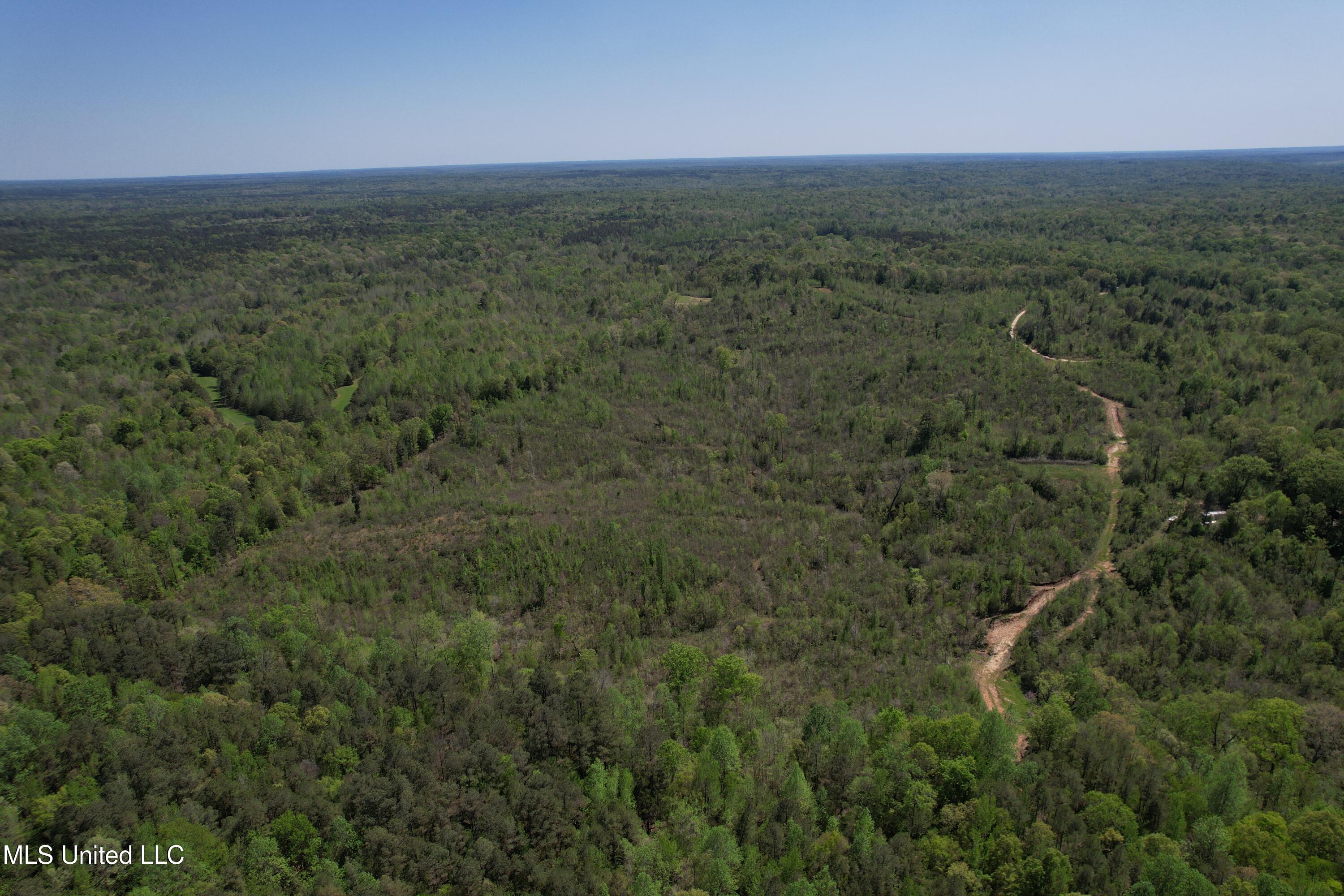 Holly Grove Meeks Road Property Photo 3