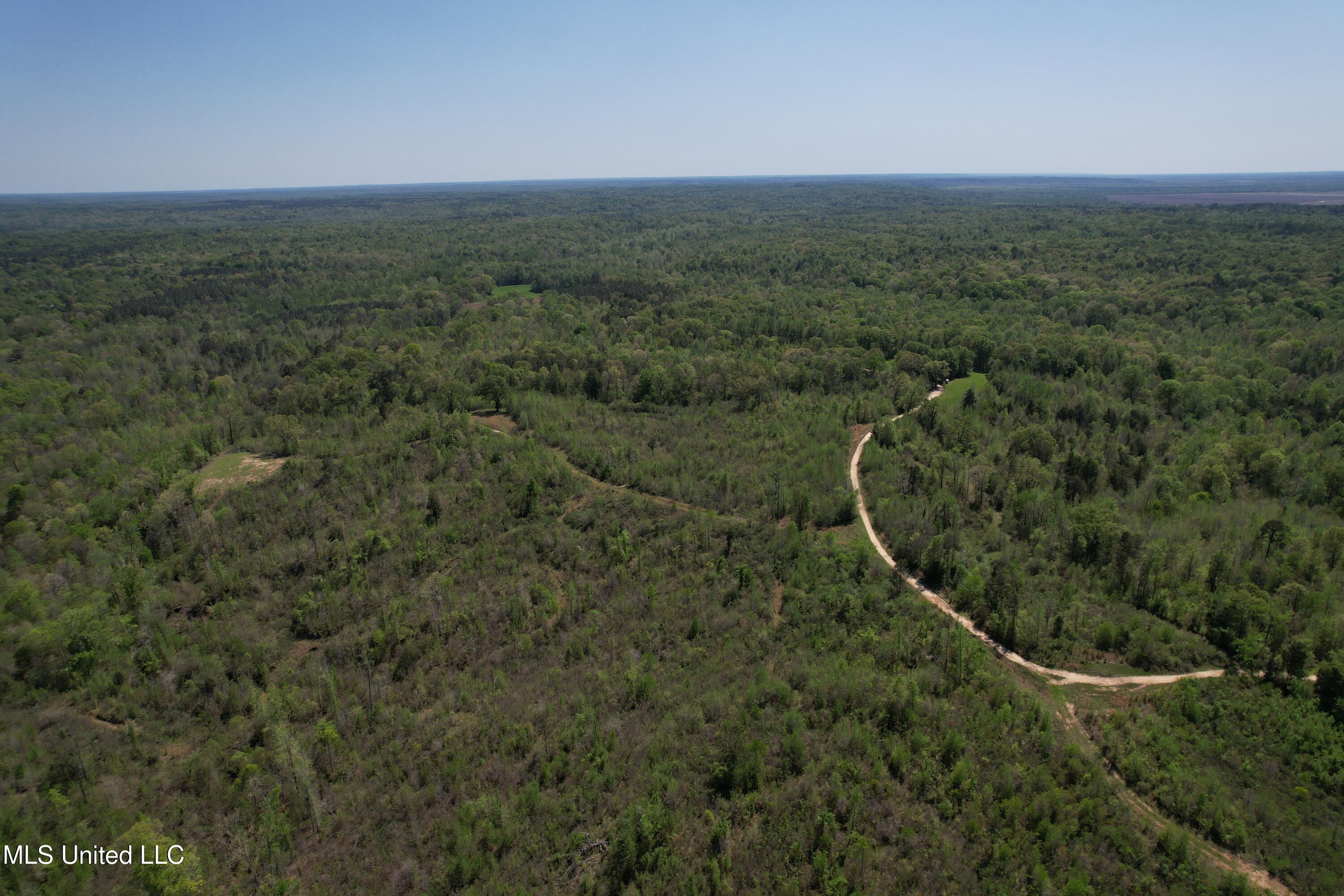 Holly Grove Meeks Road Property Photo 4