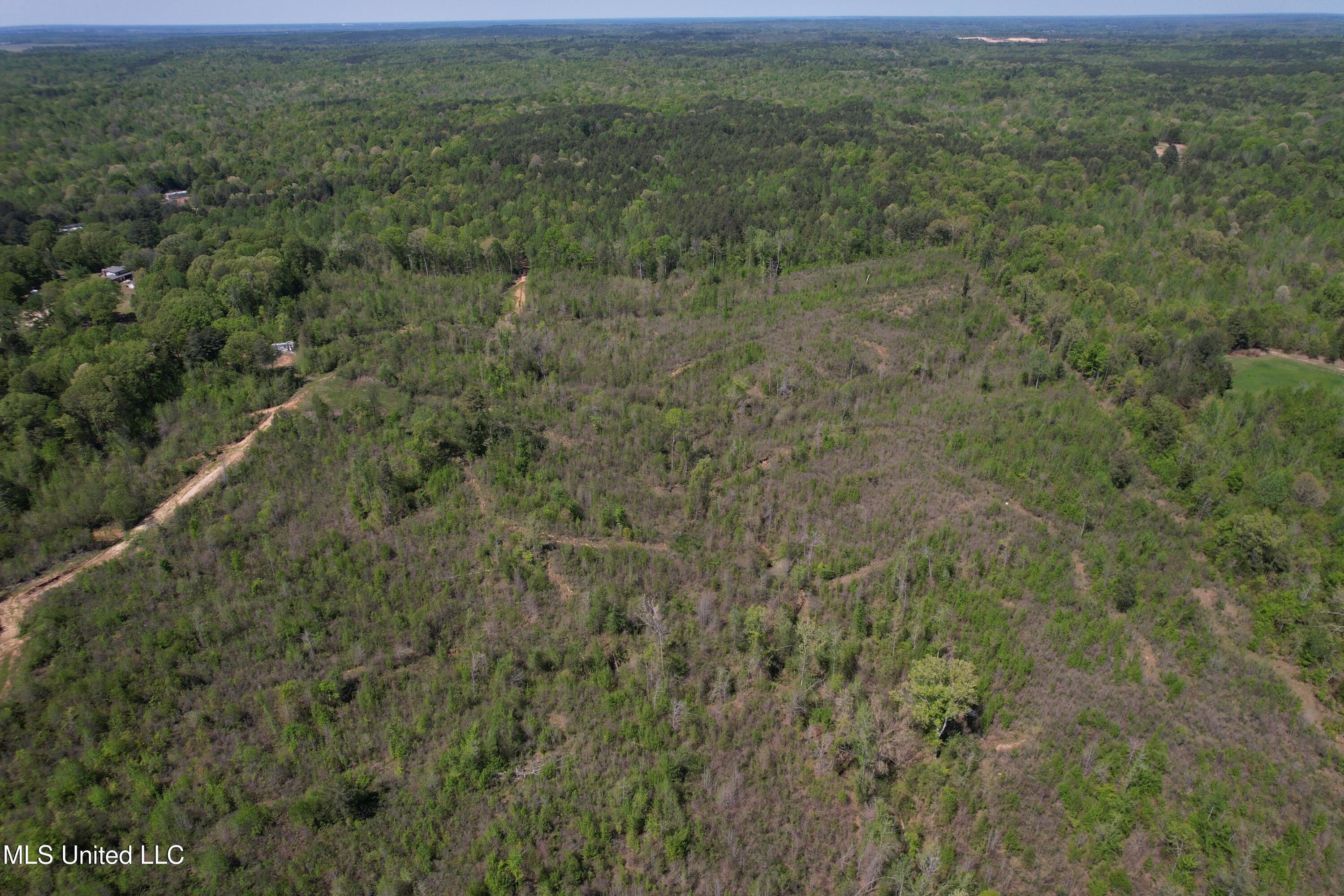Holly Grove Meeks Road Property Photo 6