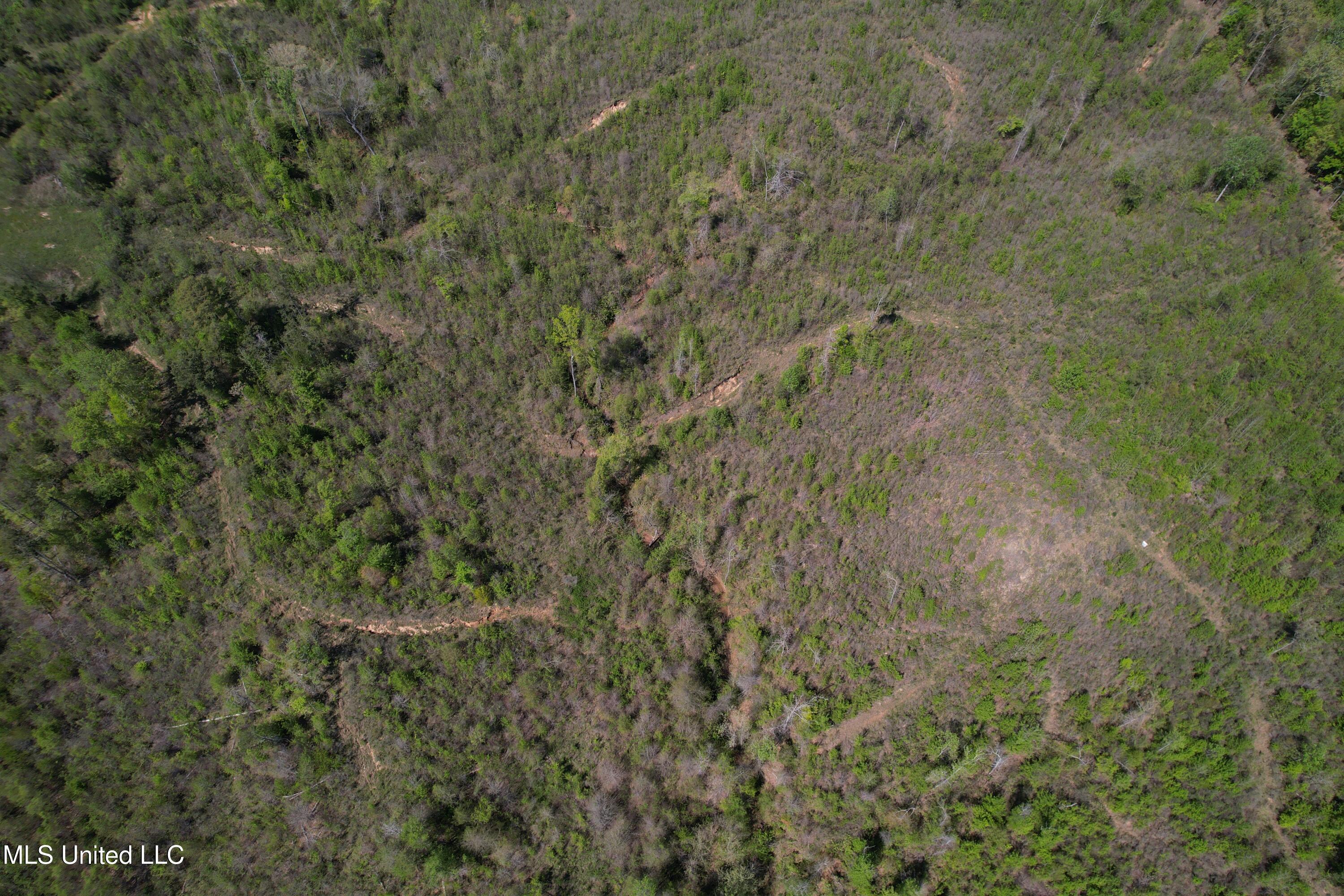 Holly Grove Meeks Road Property Photo 7