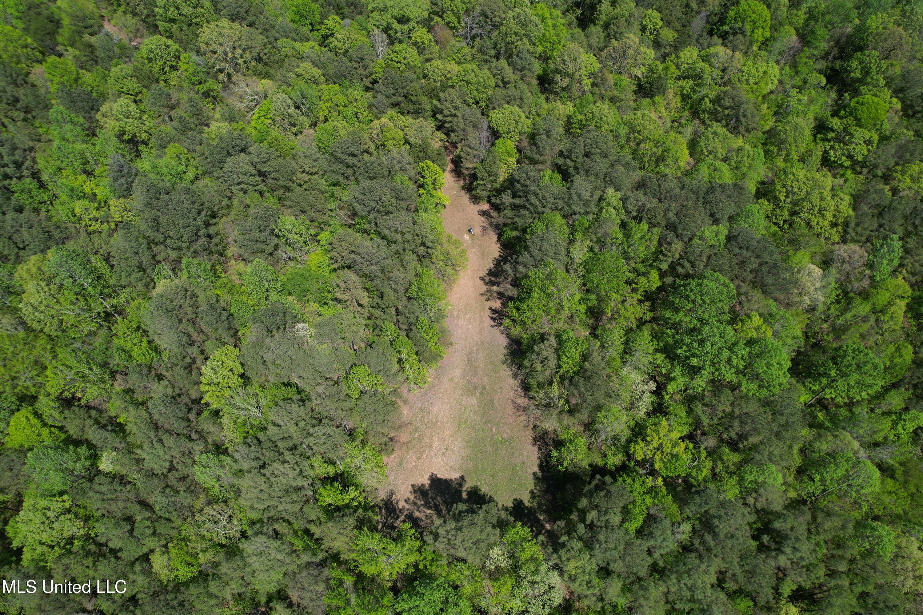 Holly Grove Meeks Road Property Photo 8