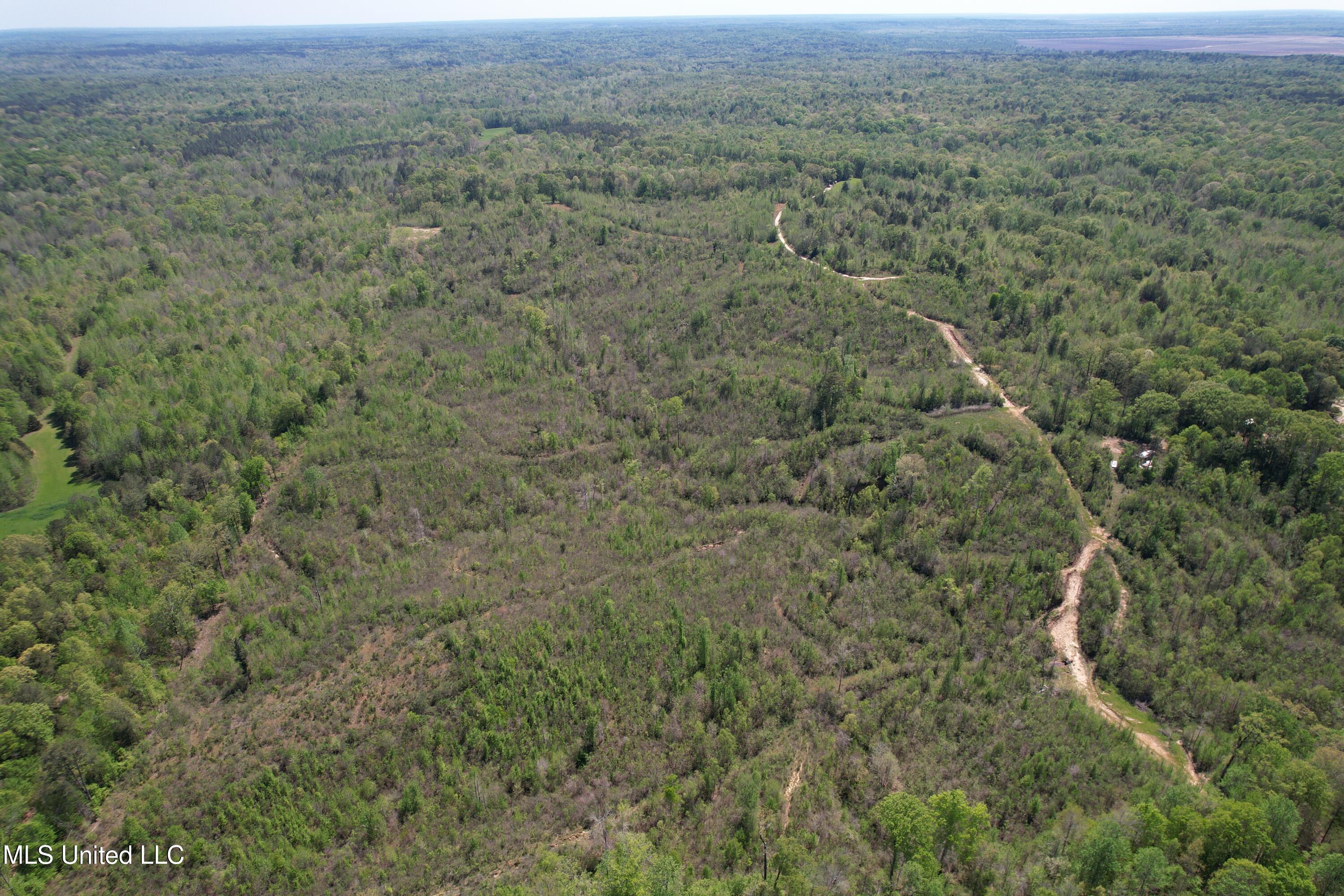 Holly Grove Meeks Road Property Photo 10