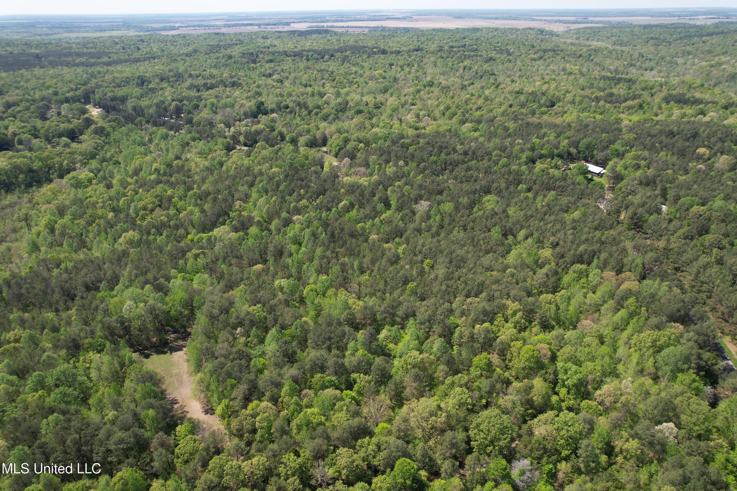 Holly Grove Meeks Road Property Photo 11