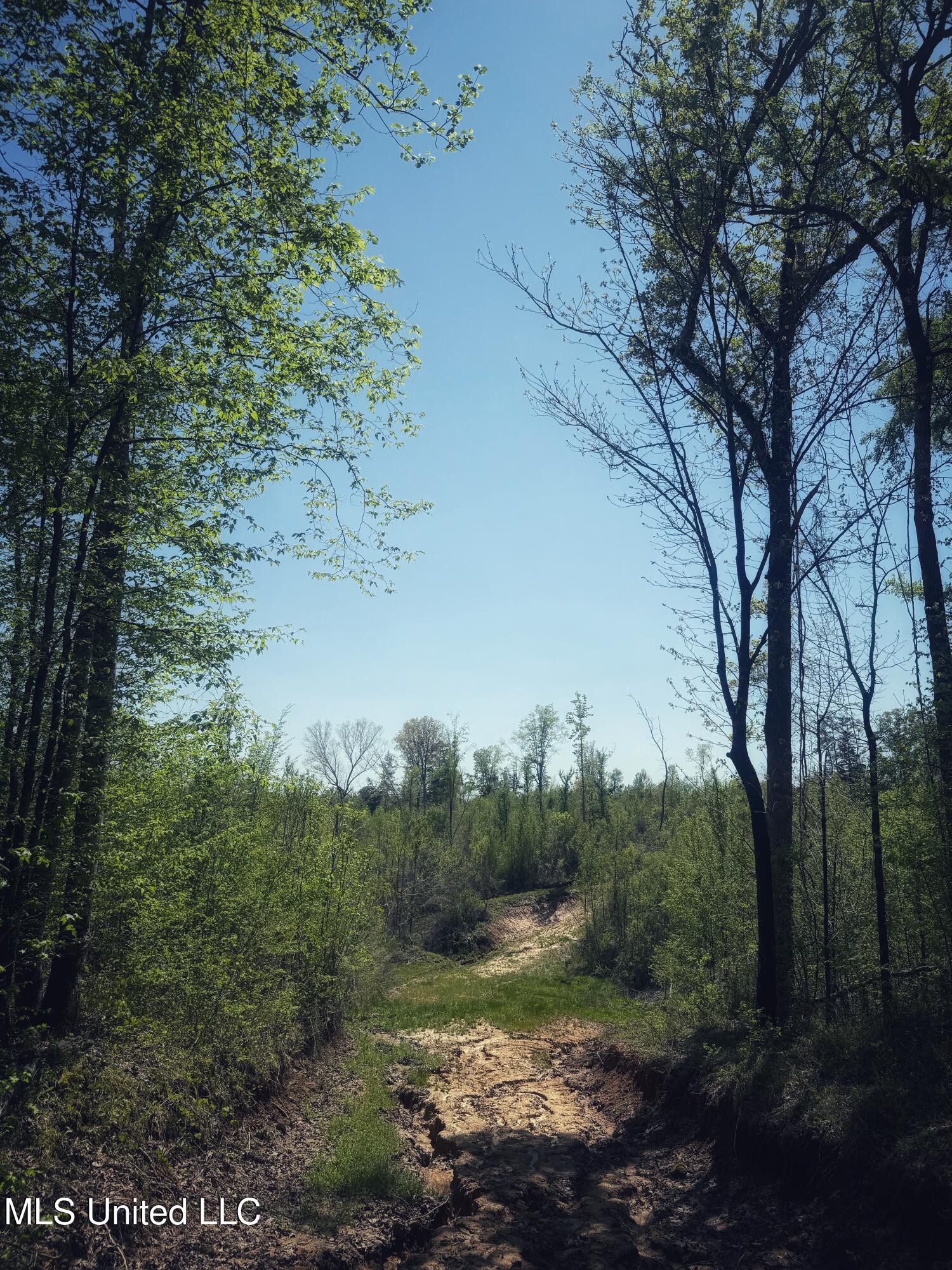 Holly Grove Meeks Road Property Photo 13