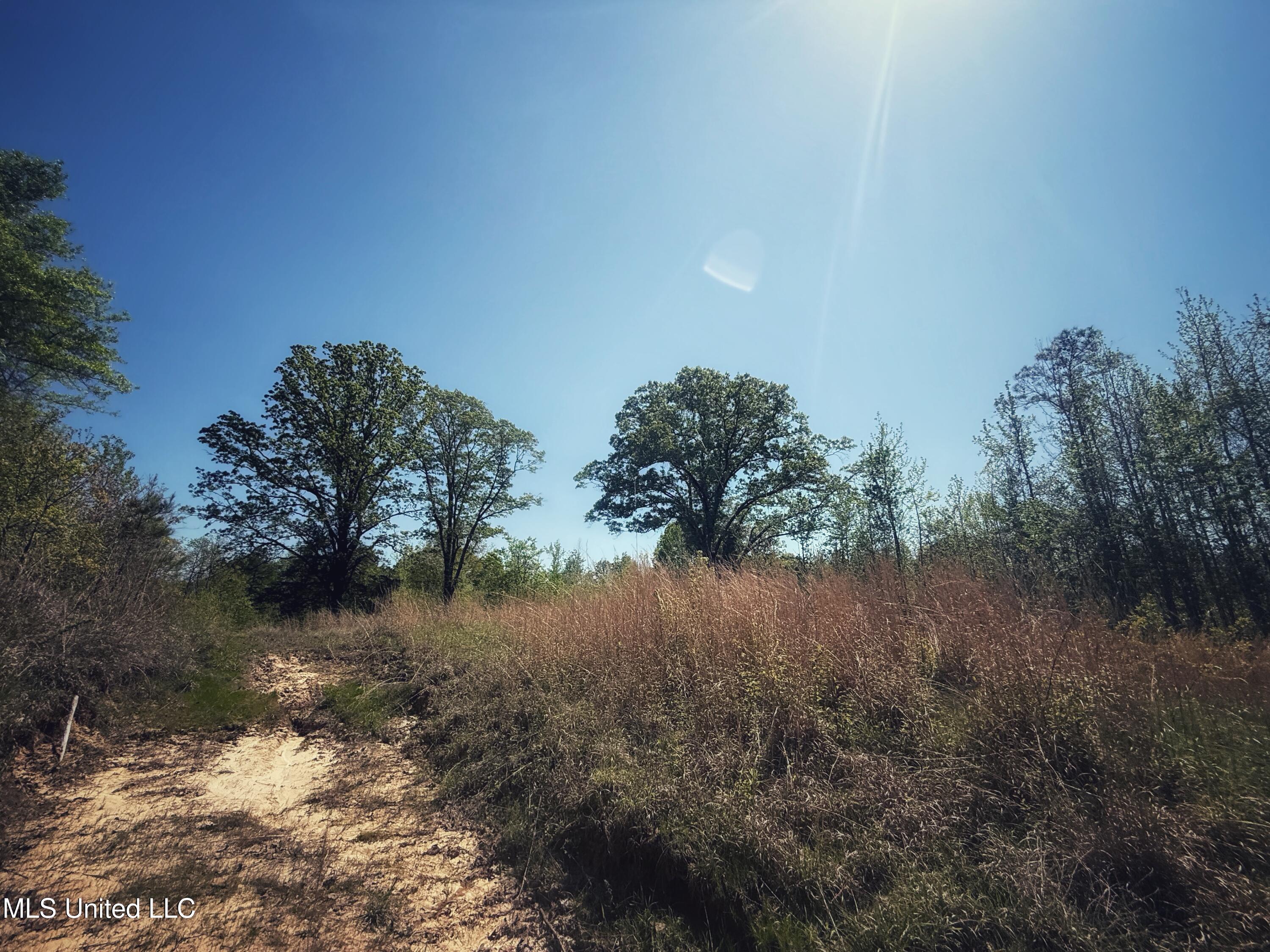 Holly Grove Meeks Road Property Photo 14