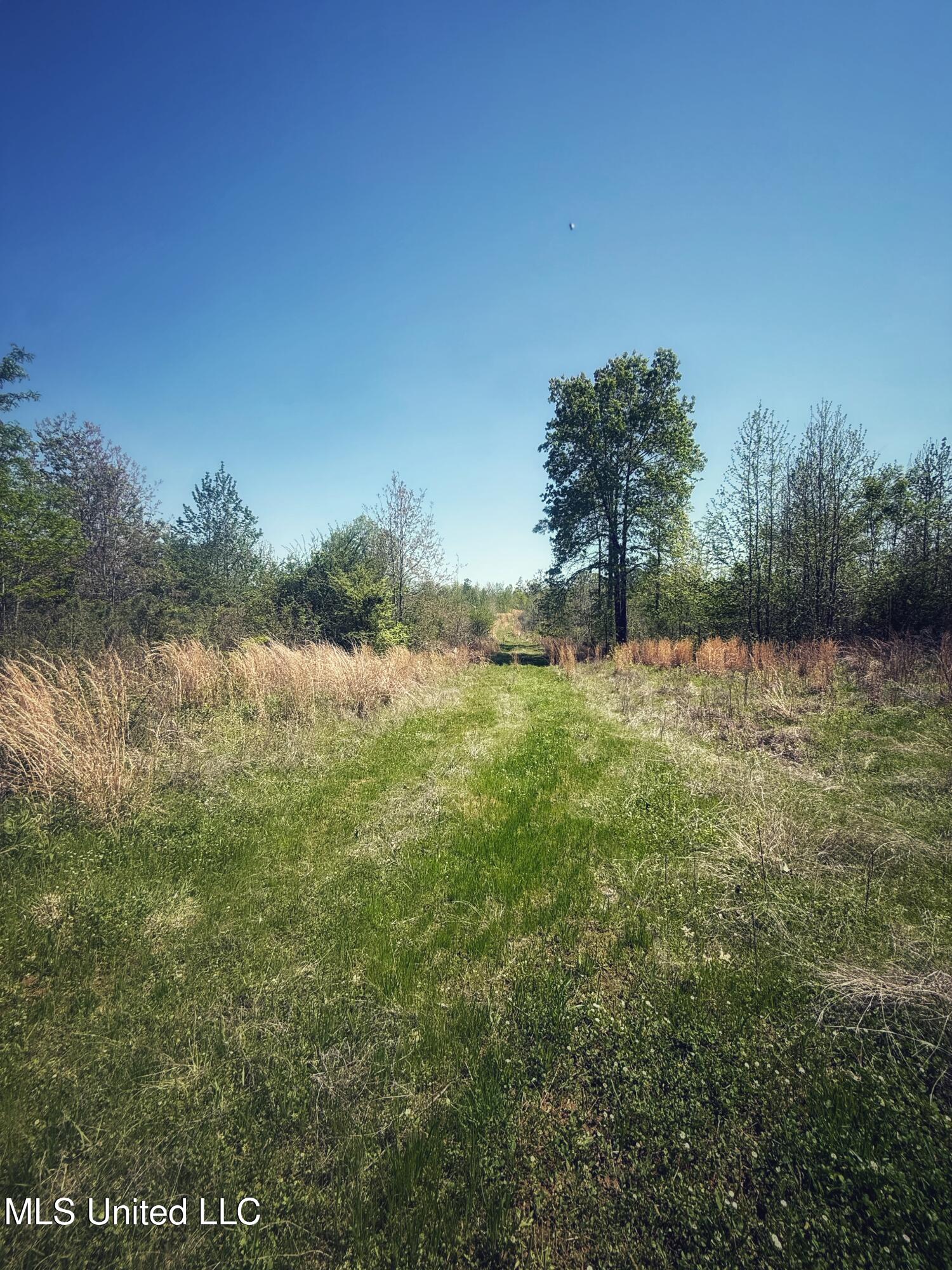 Holly Grove Meeks Road Property Photo 15
