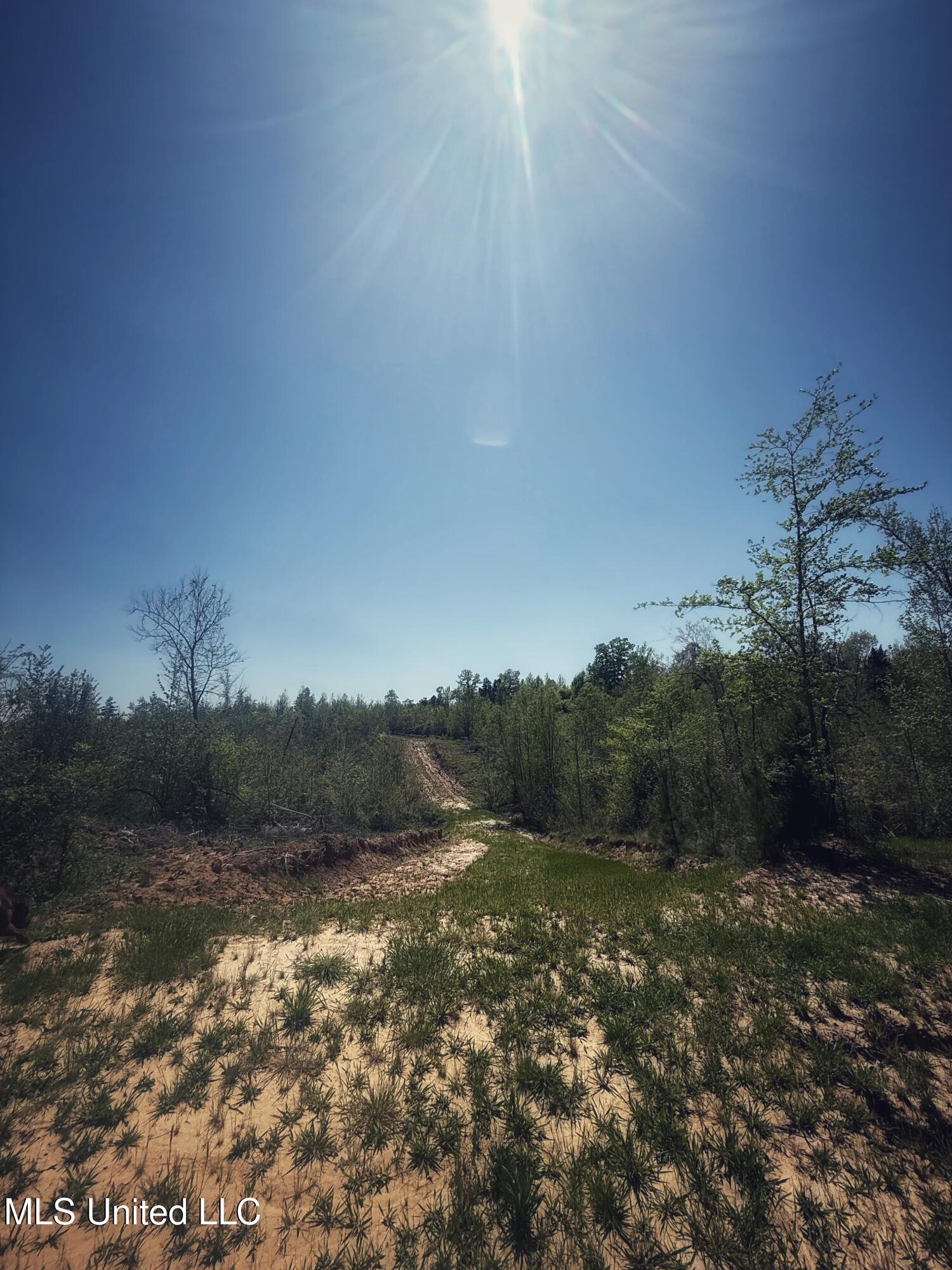 Holly Grove Meeks Road Property Photo 16