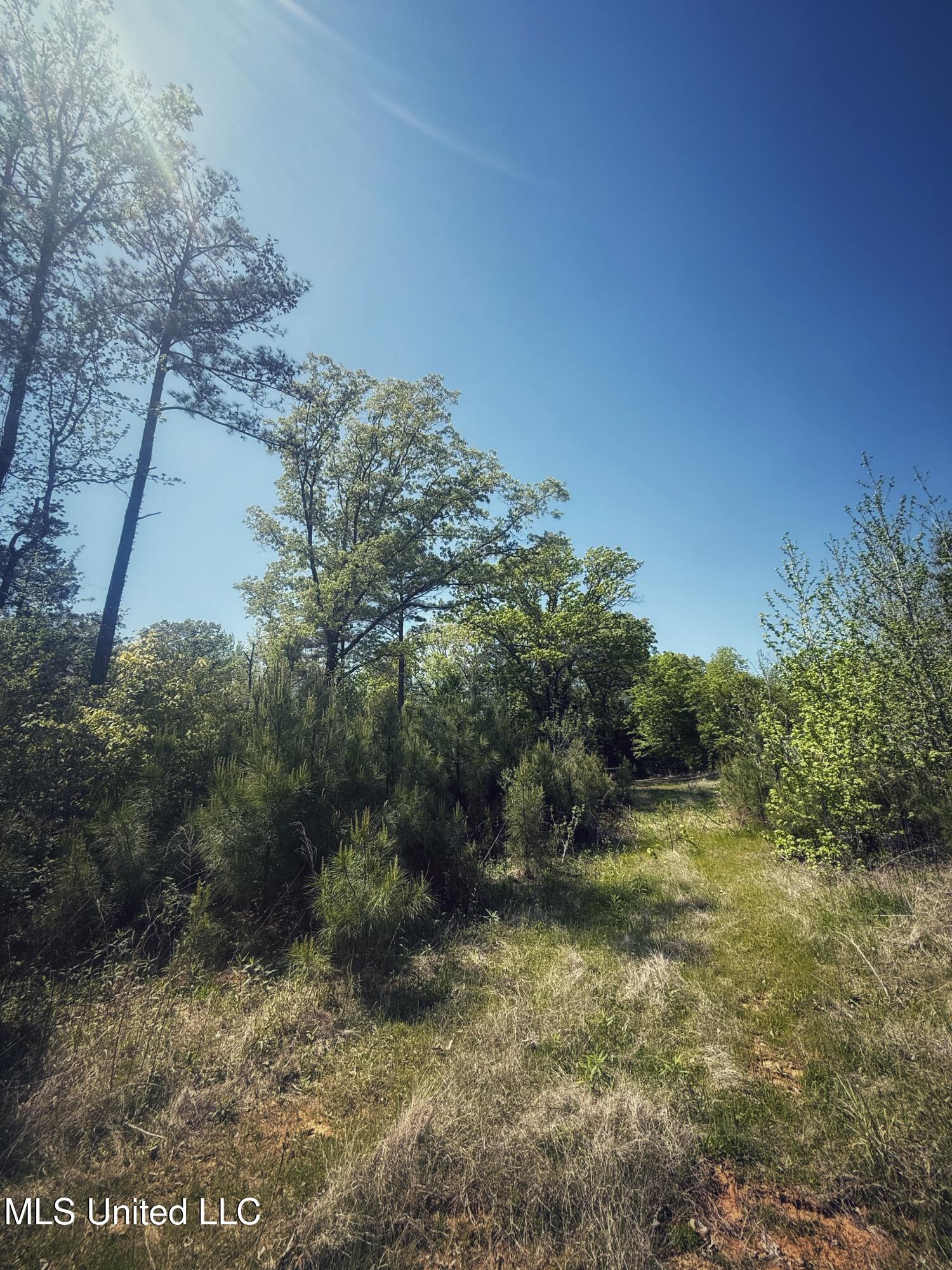 Holly Grove Meeks Road Property Photo 18