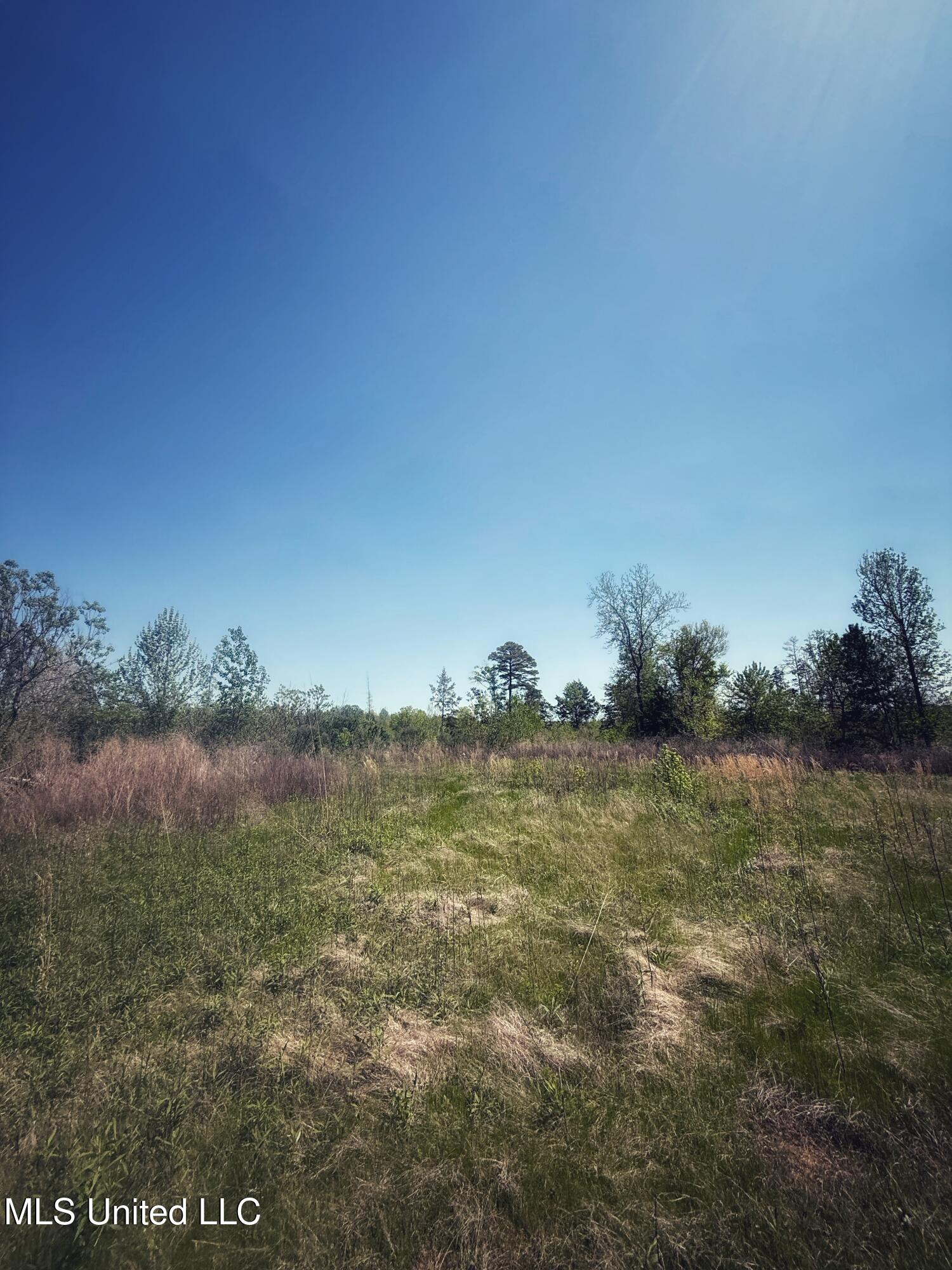 Holly Grove Meeks Road Property Photo 20
