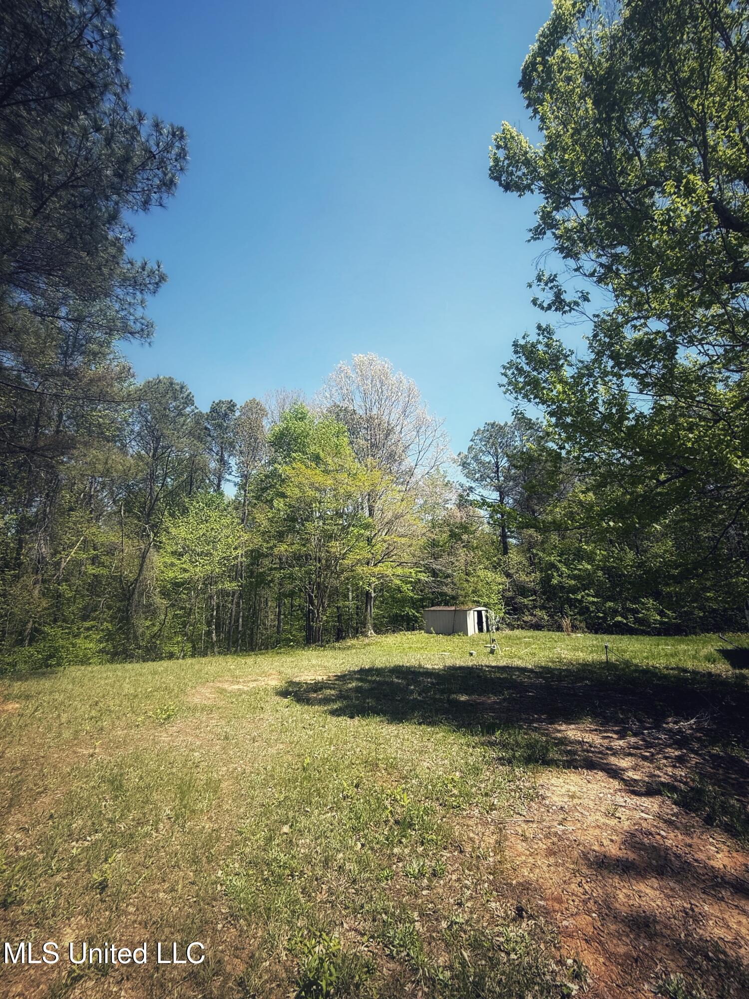 Holly Grove Meeks Road Property Photo 22