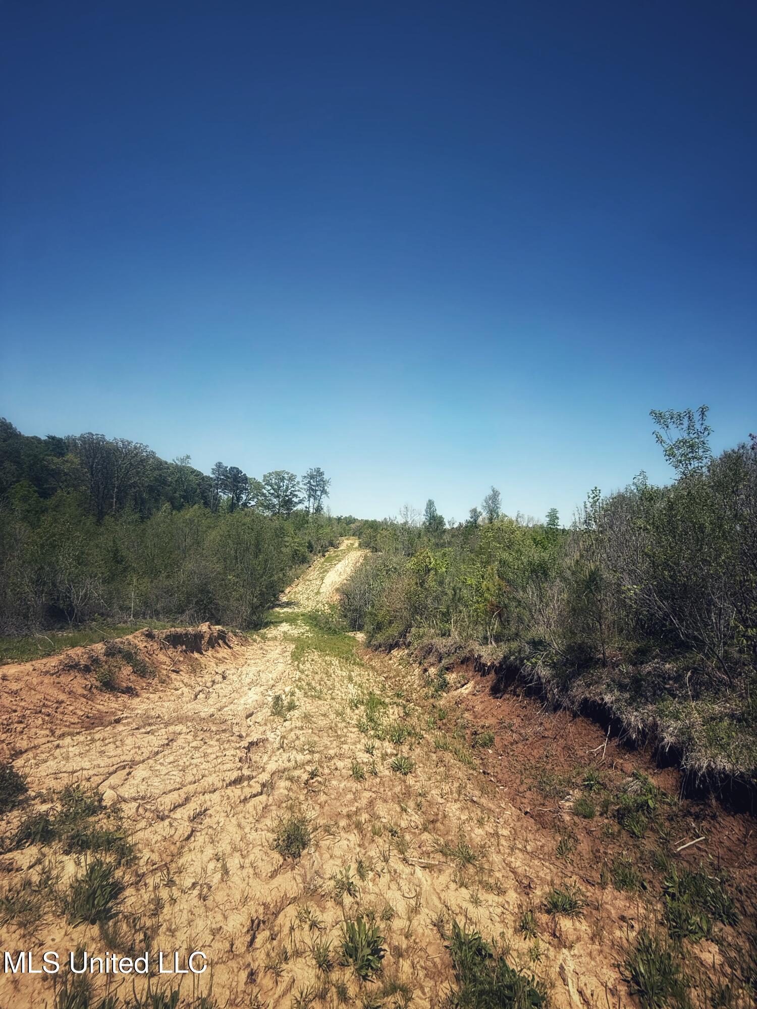 Holly Grove Meeks Road Property Photo 23
