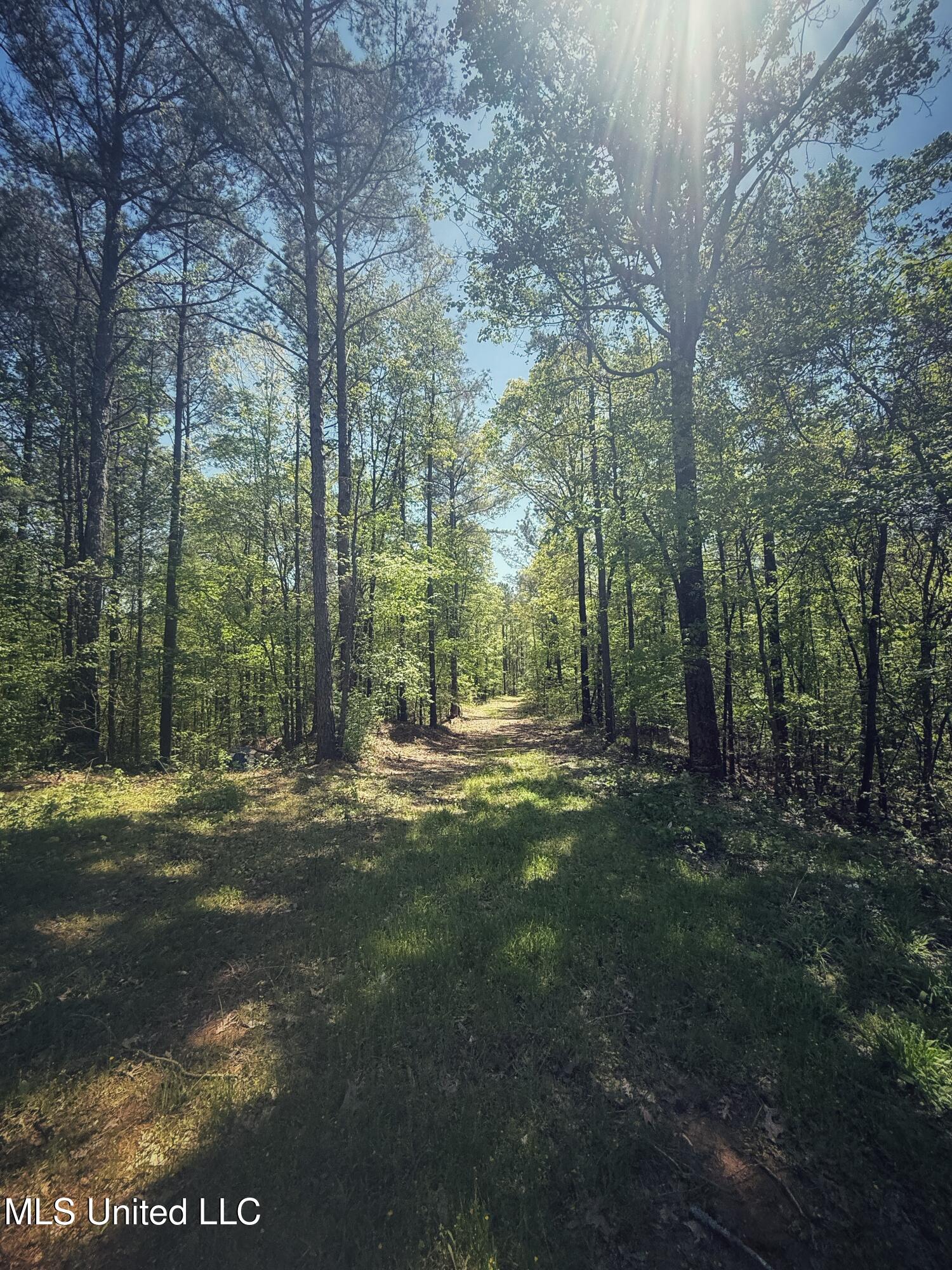 Holly Grove Meeks Road Property Photo 25