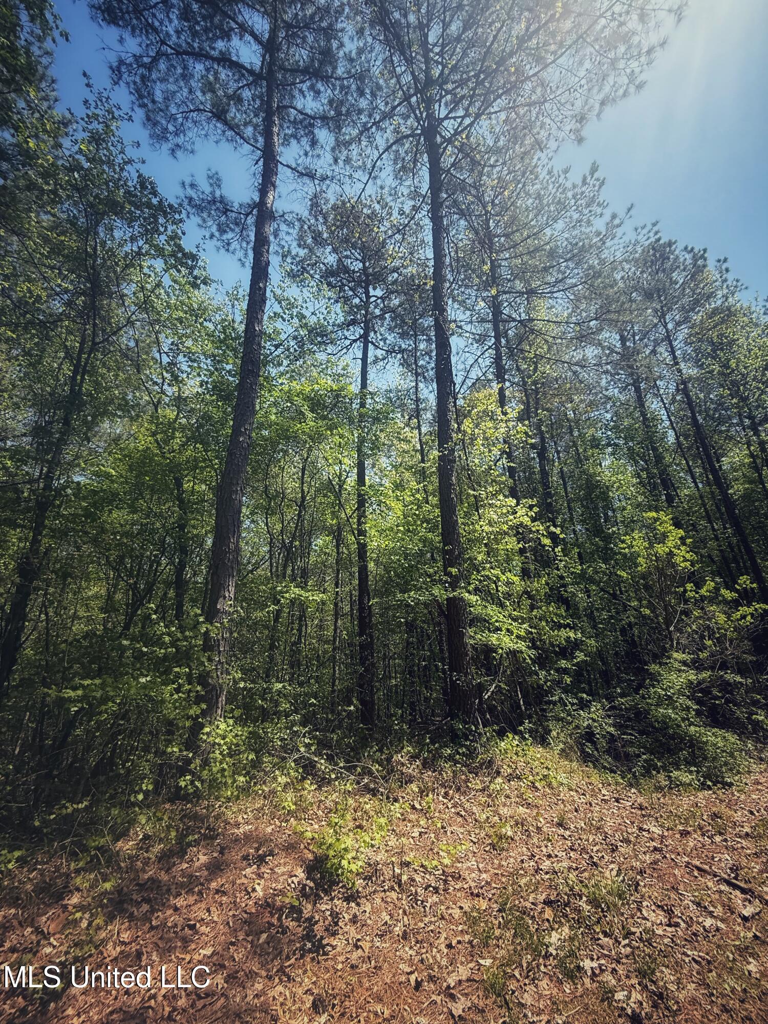 Holly Grove Meeks Road Property Photo 26