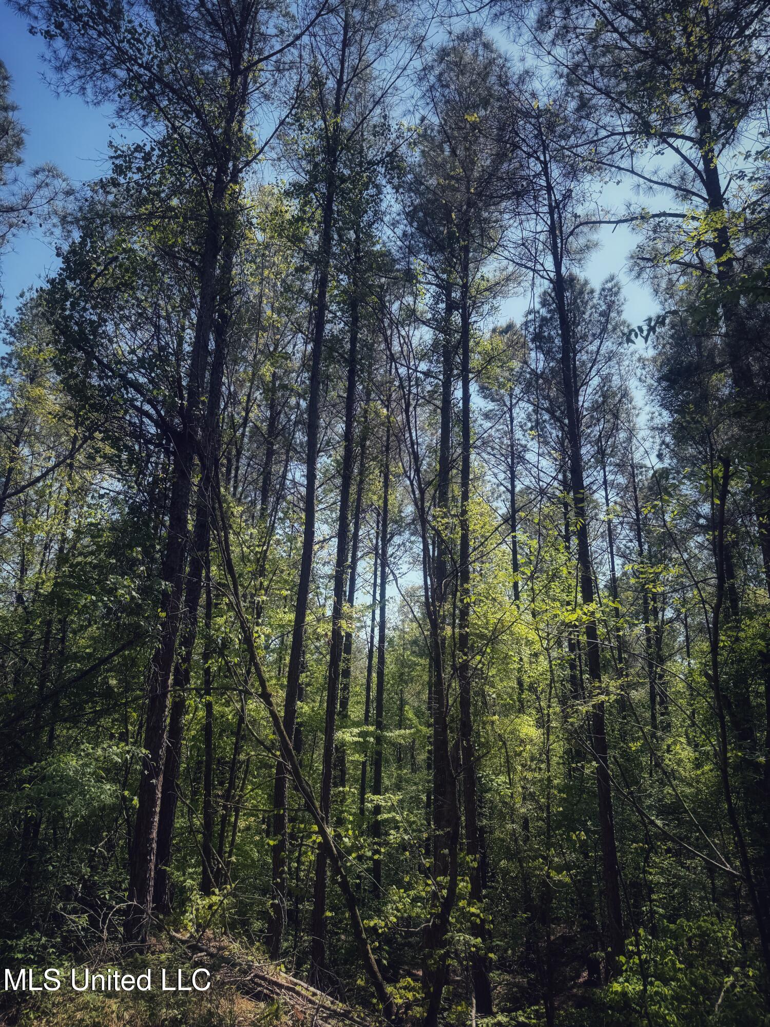 Holly Grove Meeks Road Property Photo 28