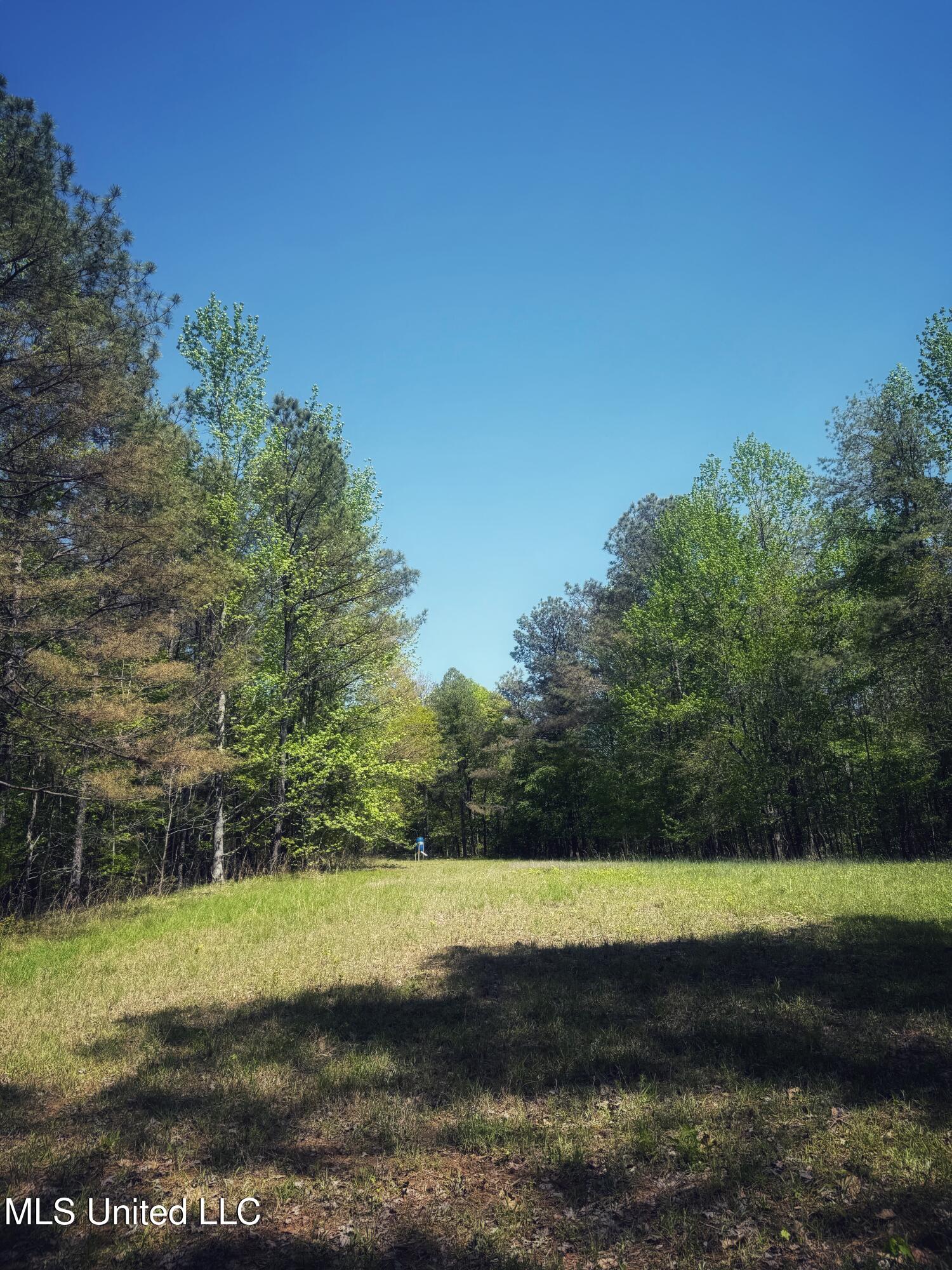 Holly Grove Meeks Road Property Photo 32
