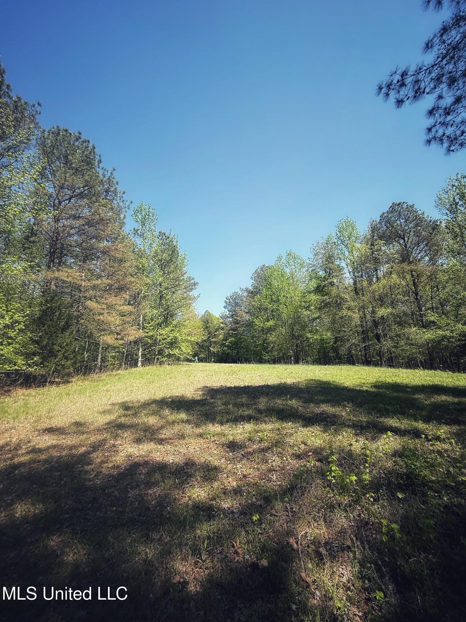 Holly Grove Meeks Road Property Photo 33