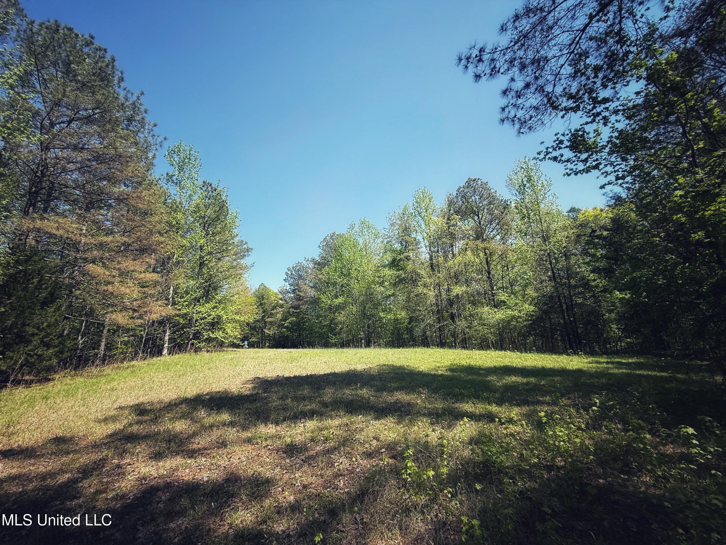 Holly Grove Meeks Road Property Photo 34