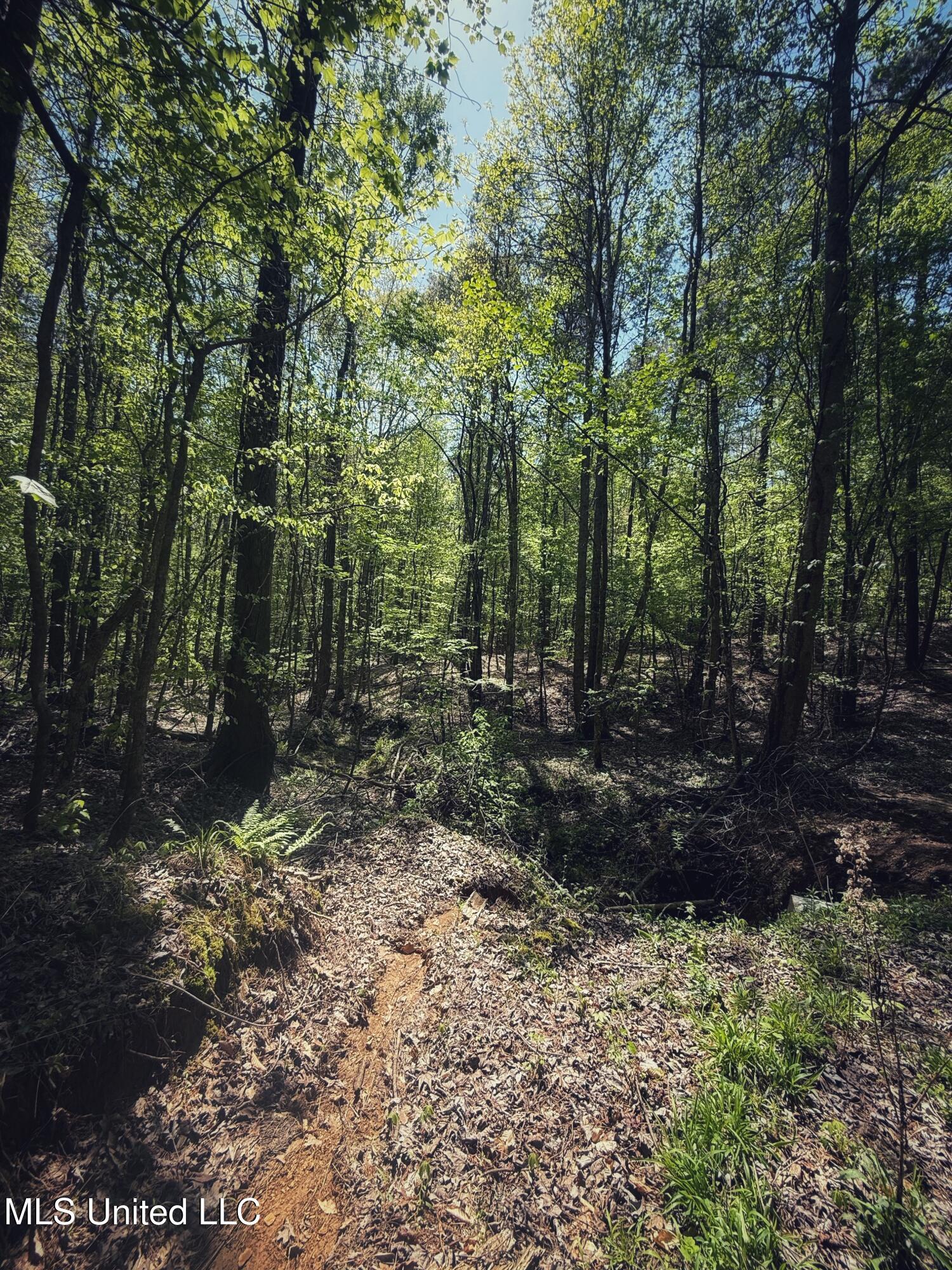 Holly Grove Meeks Road Property Photo 35