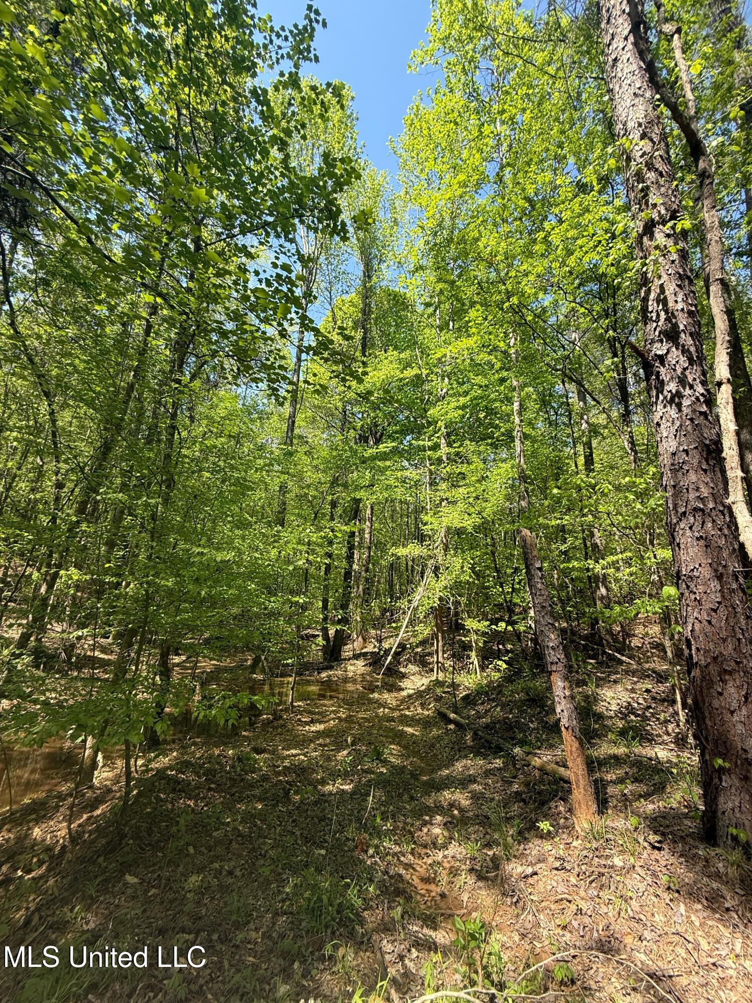 Holly Grove Meeks Road Property Photo 36