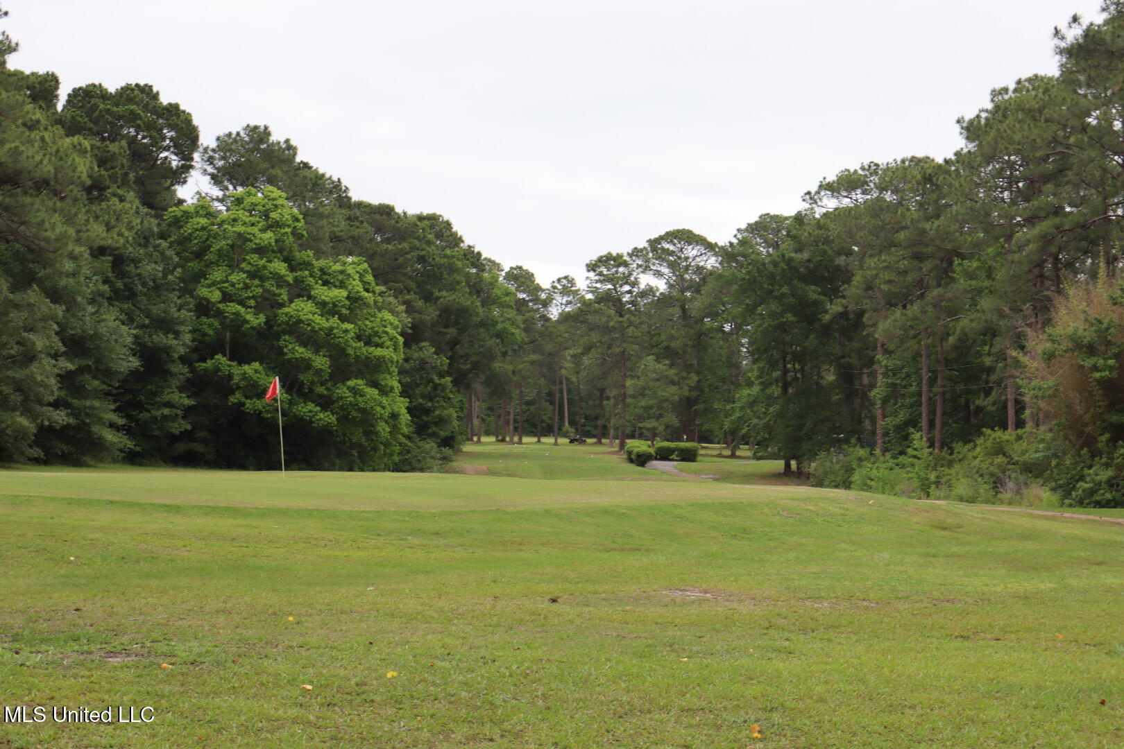 8316 Martin Bluff Road Property Photo 11