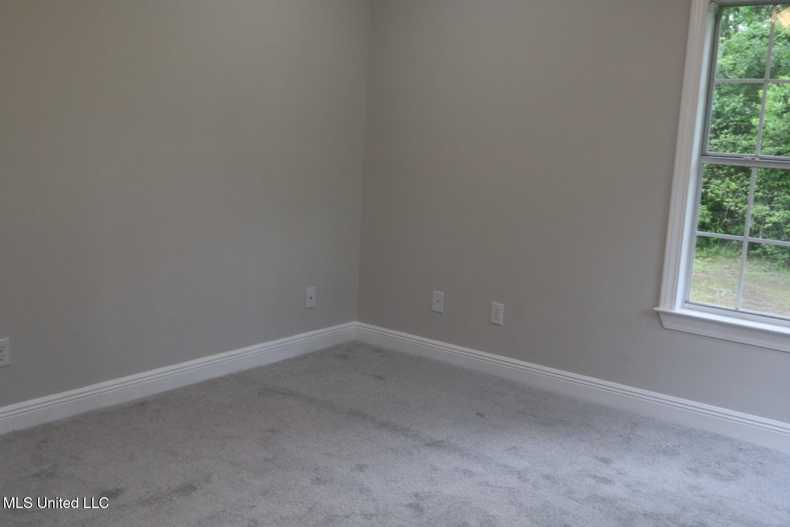 8316 Martin Bluff Road Property Photo 66