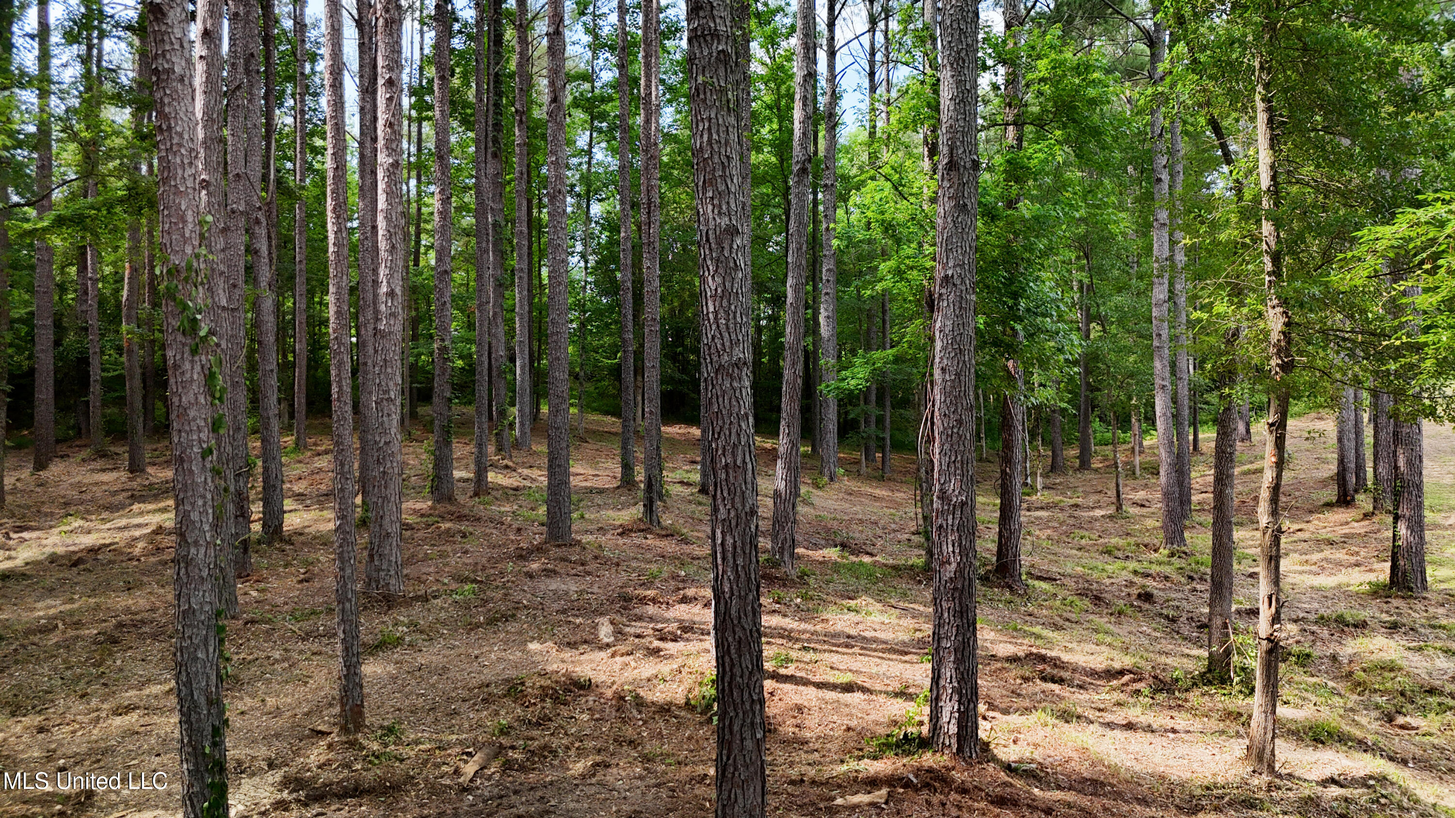 Dogwood Trace Property Photo 2