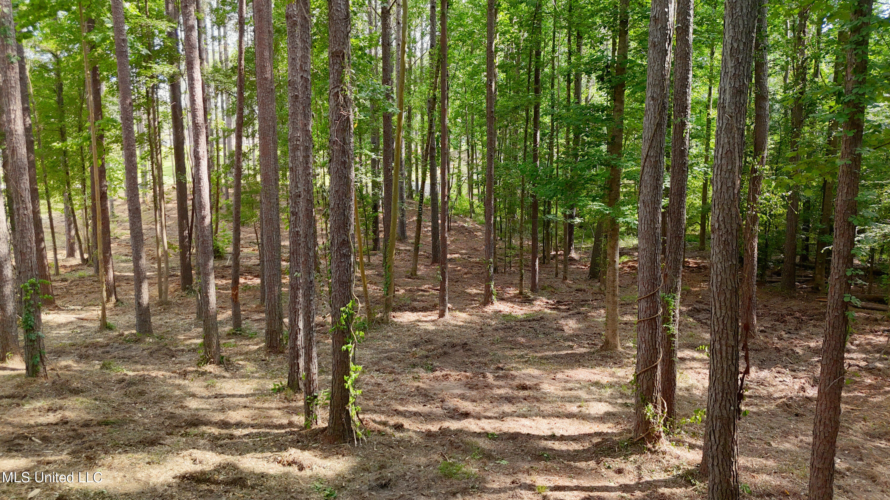 Dogwood Trace Property Photo 3
