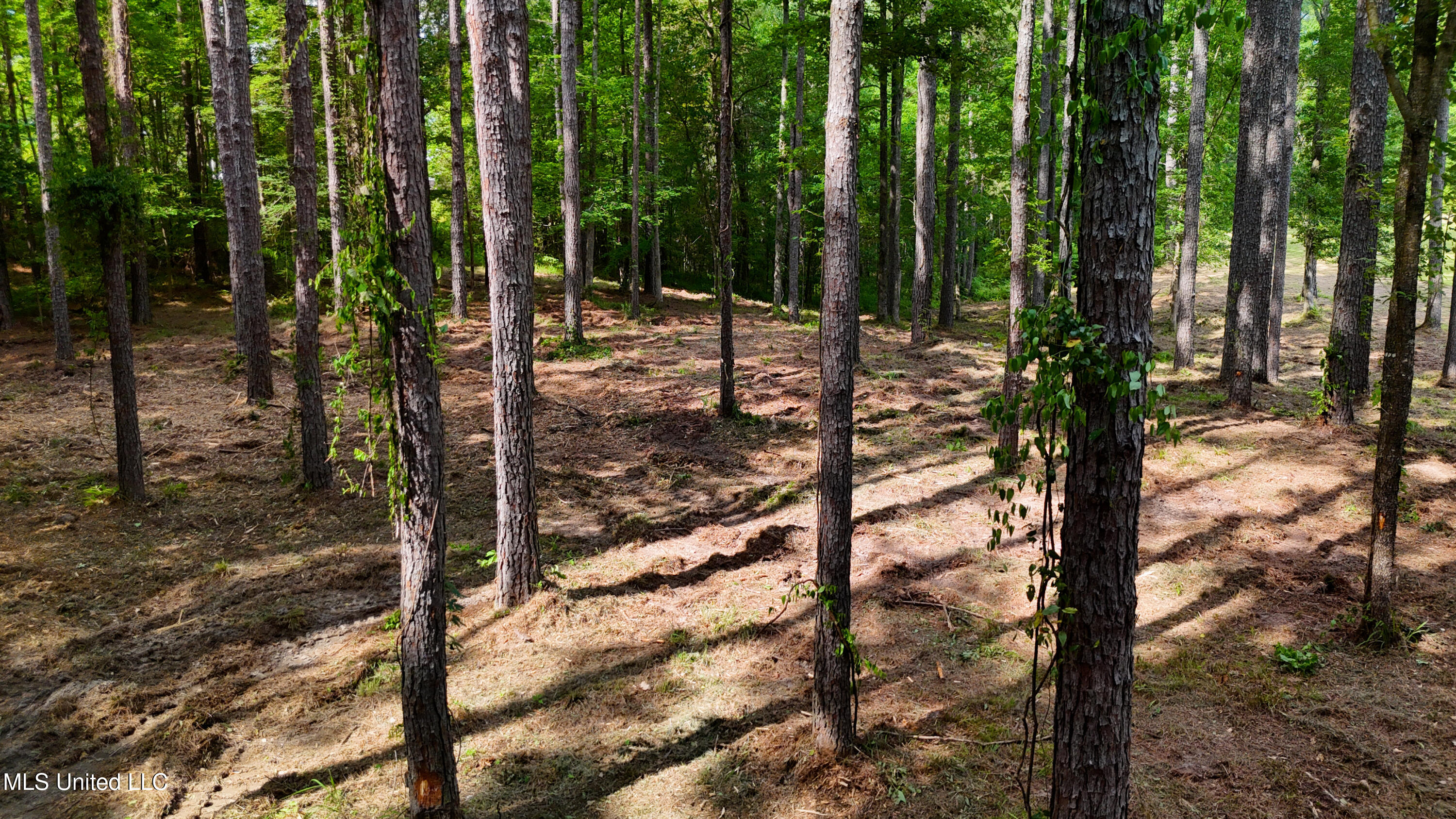 Dogwood Trace Property Photo 4