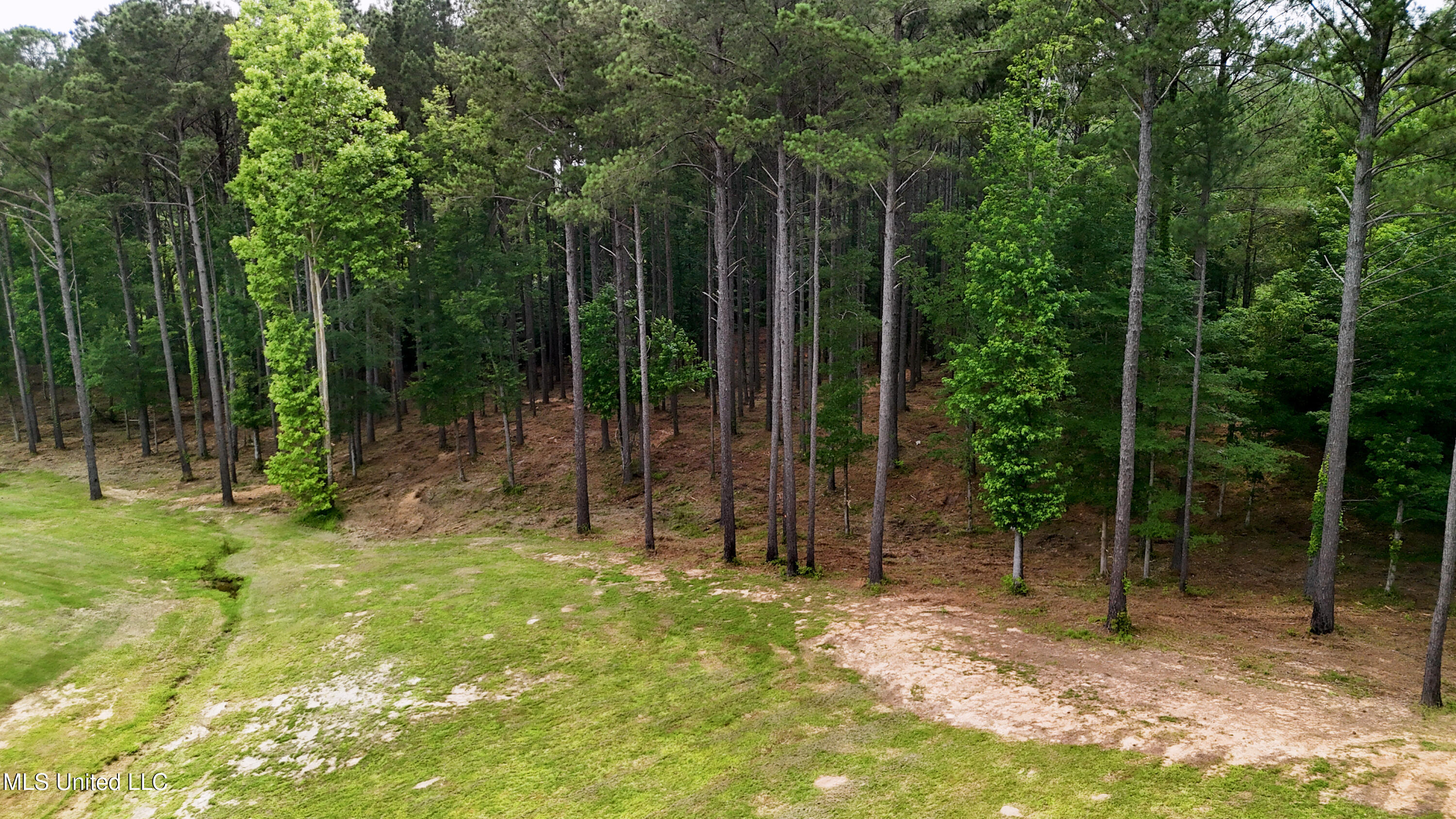 Dogwood Trace Property Photo 7