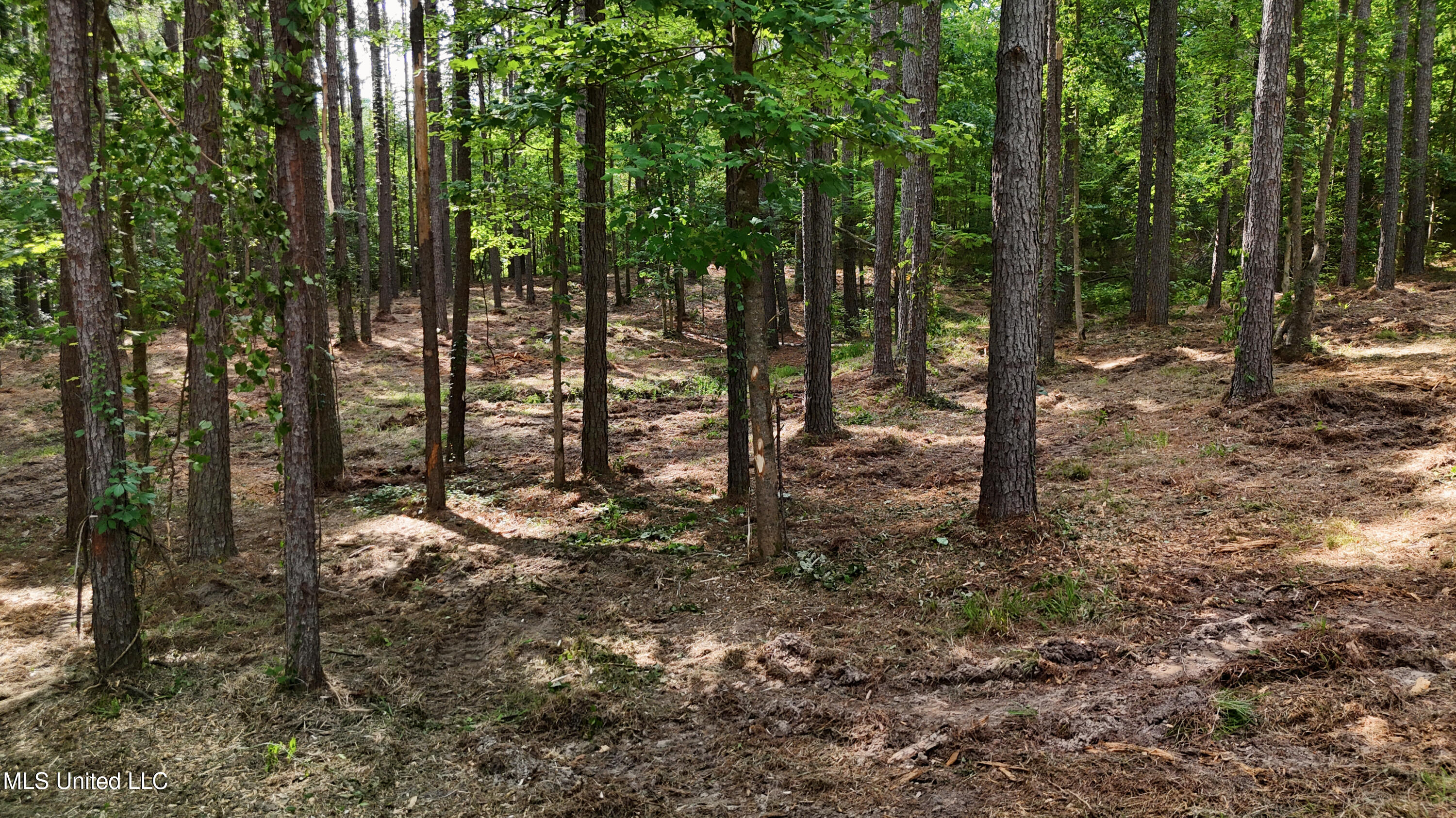 Dogwood Trace Property Photo 9