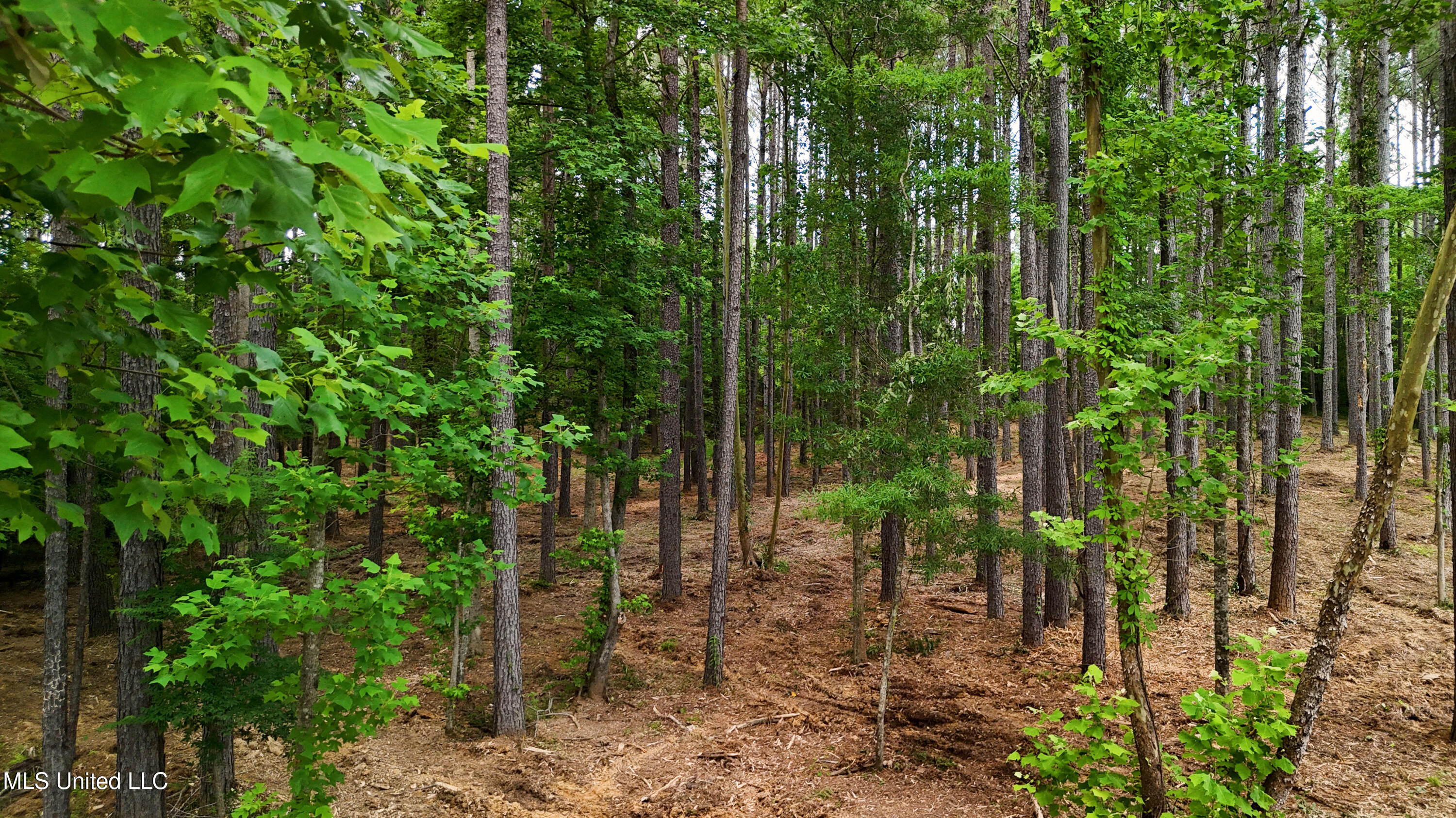 Dogwood Trace Property Photo 15