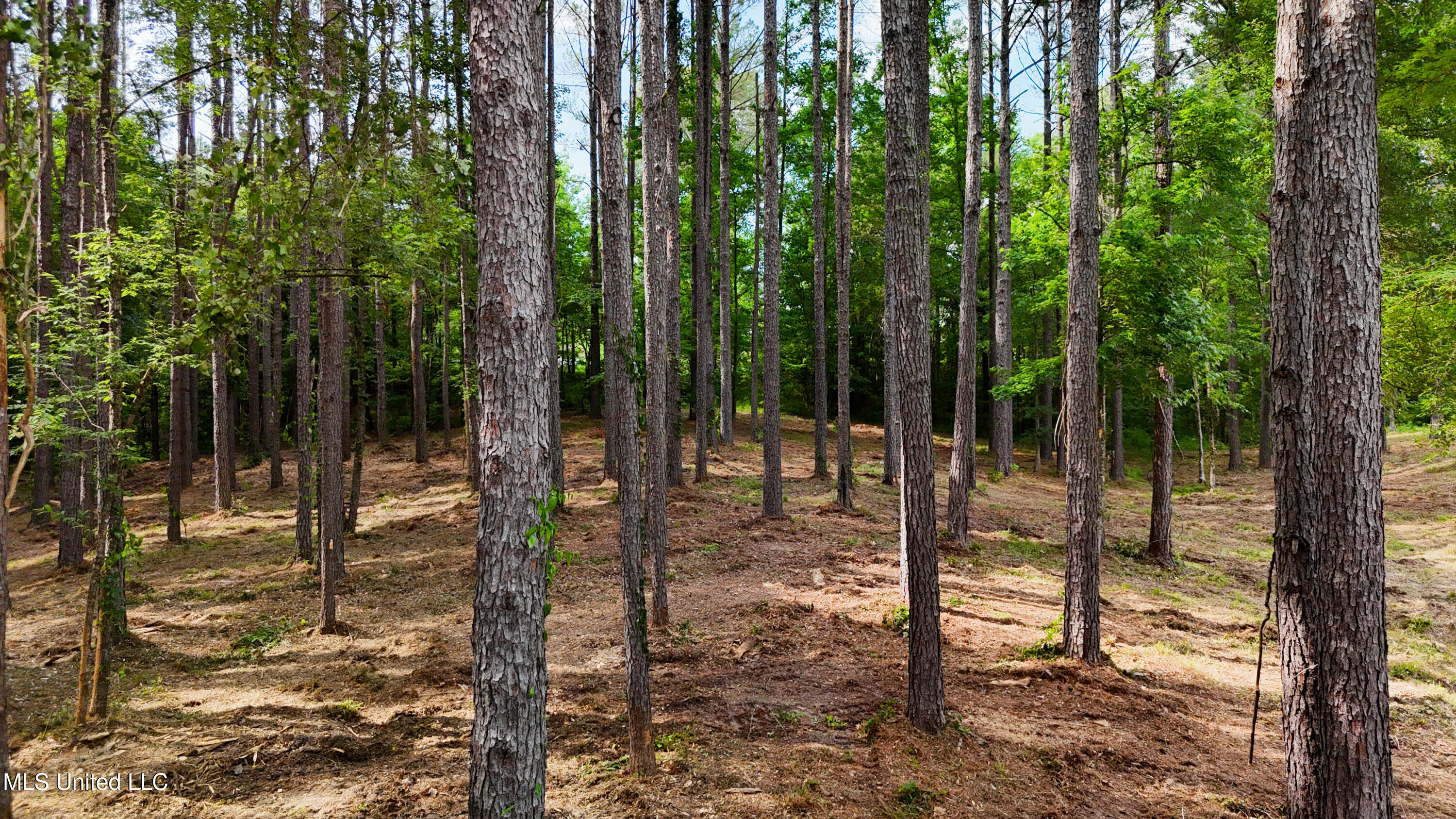 Dogwood Trace Property Photo 17
