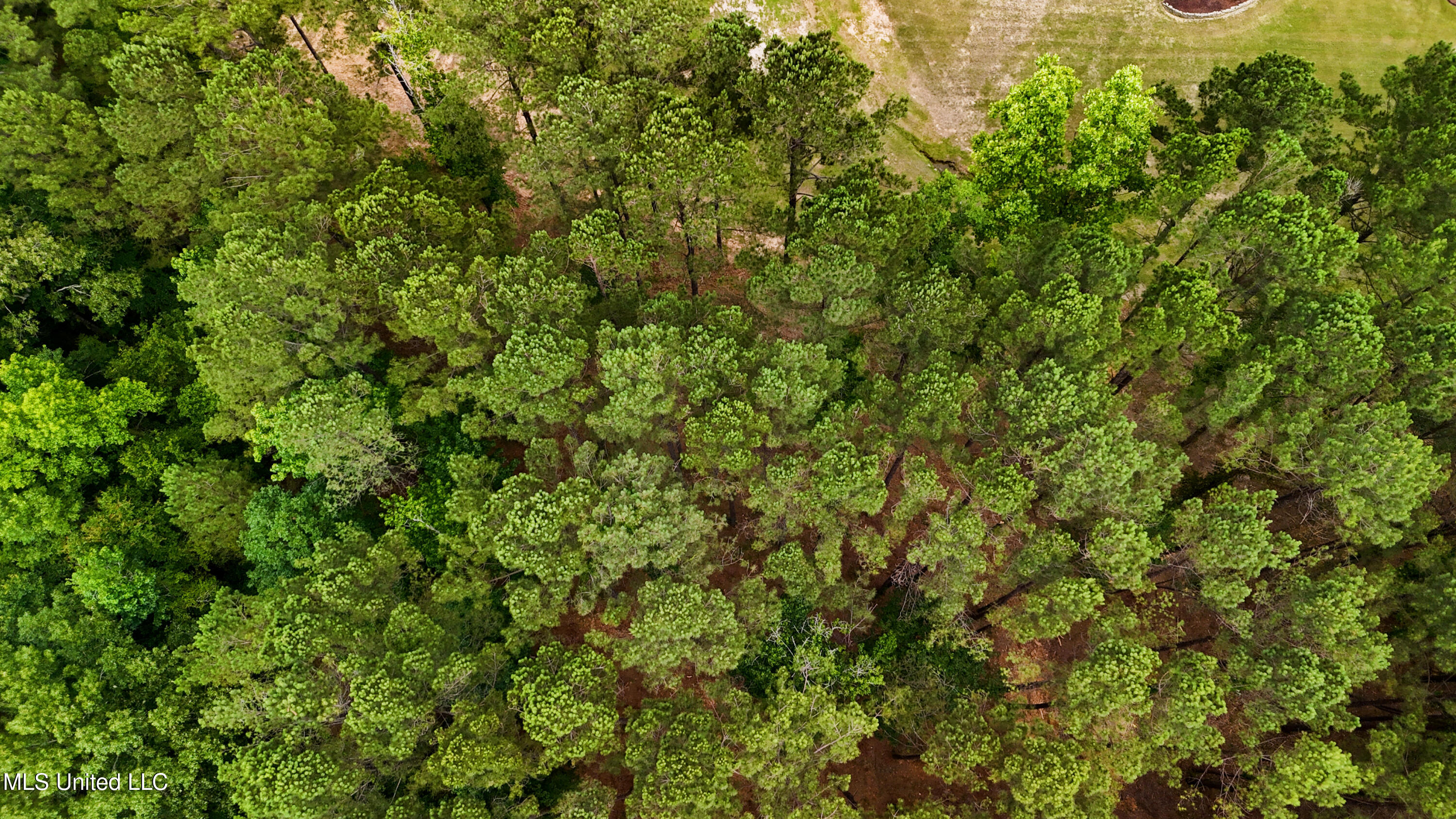 Dogwood Trace Property Photo 21