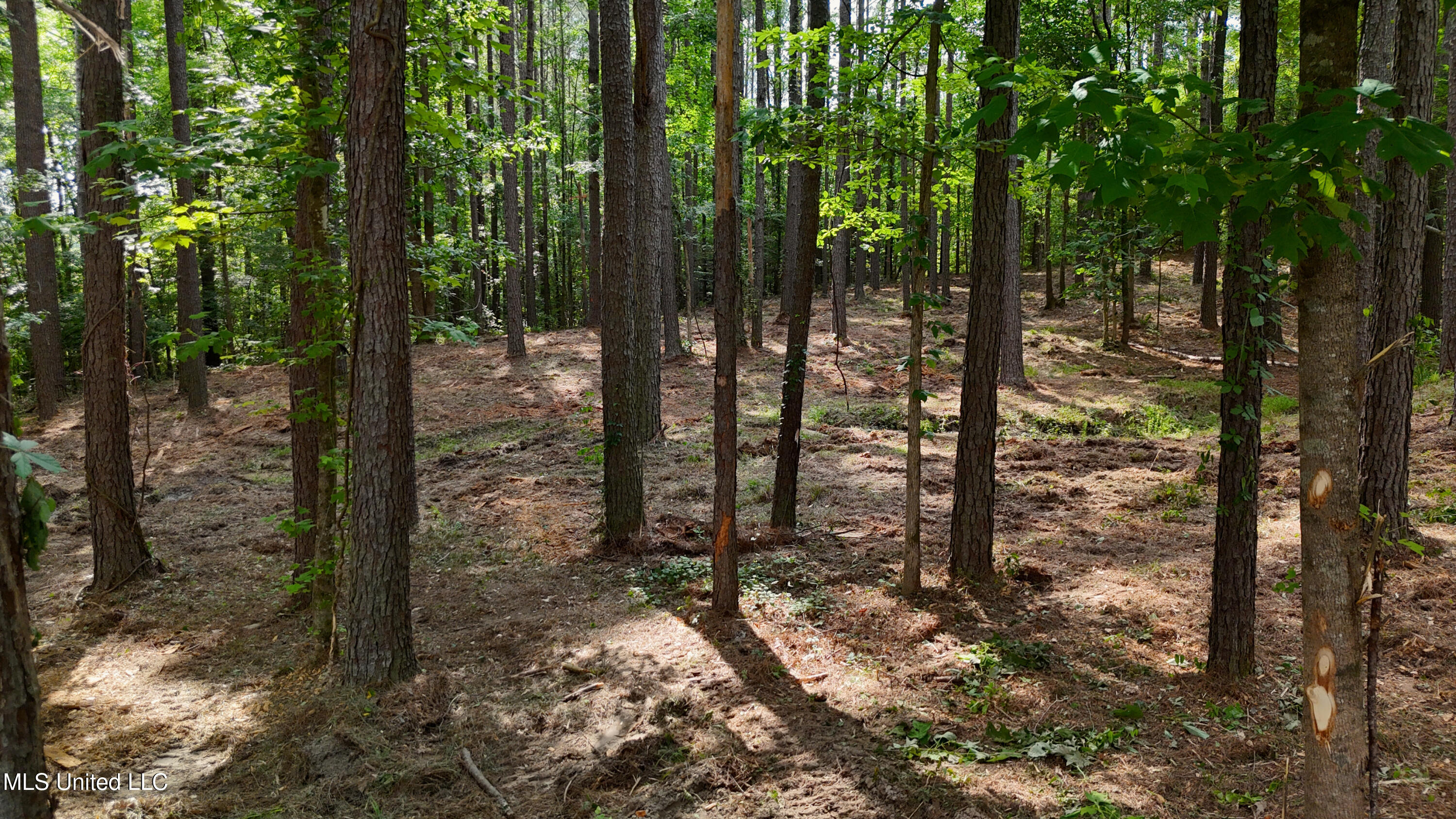 Dogwood Trace Property Photo 22