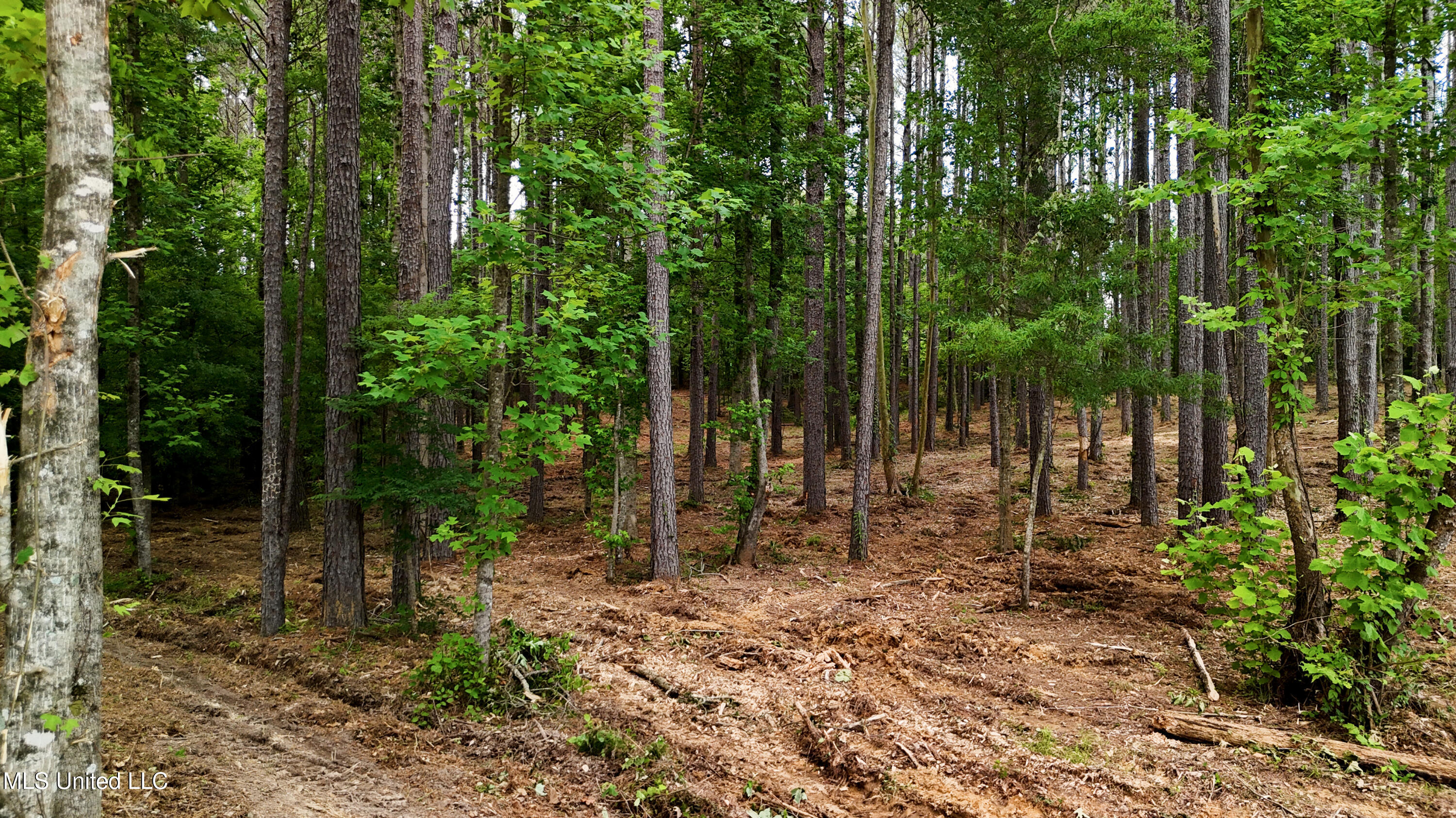 Dogwood Trace Property Photo 26
