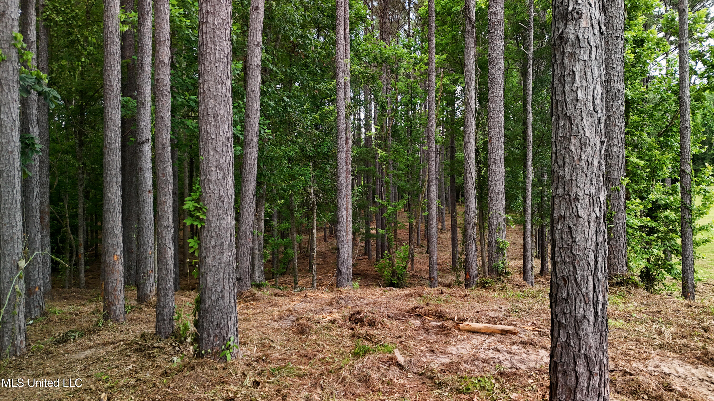 Dogwood Trace Property Photo 28