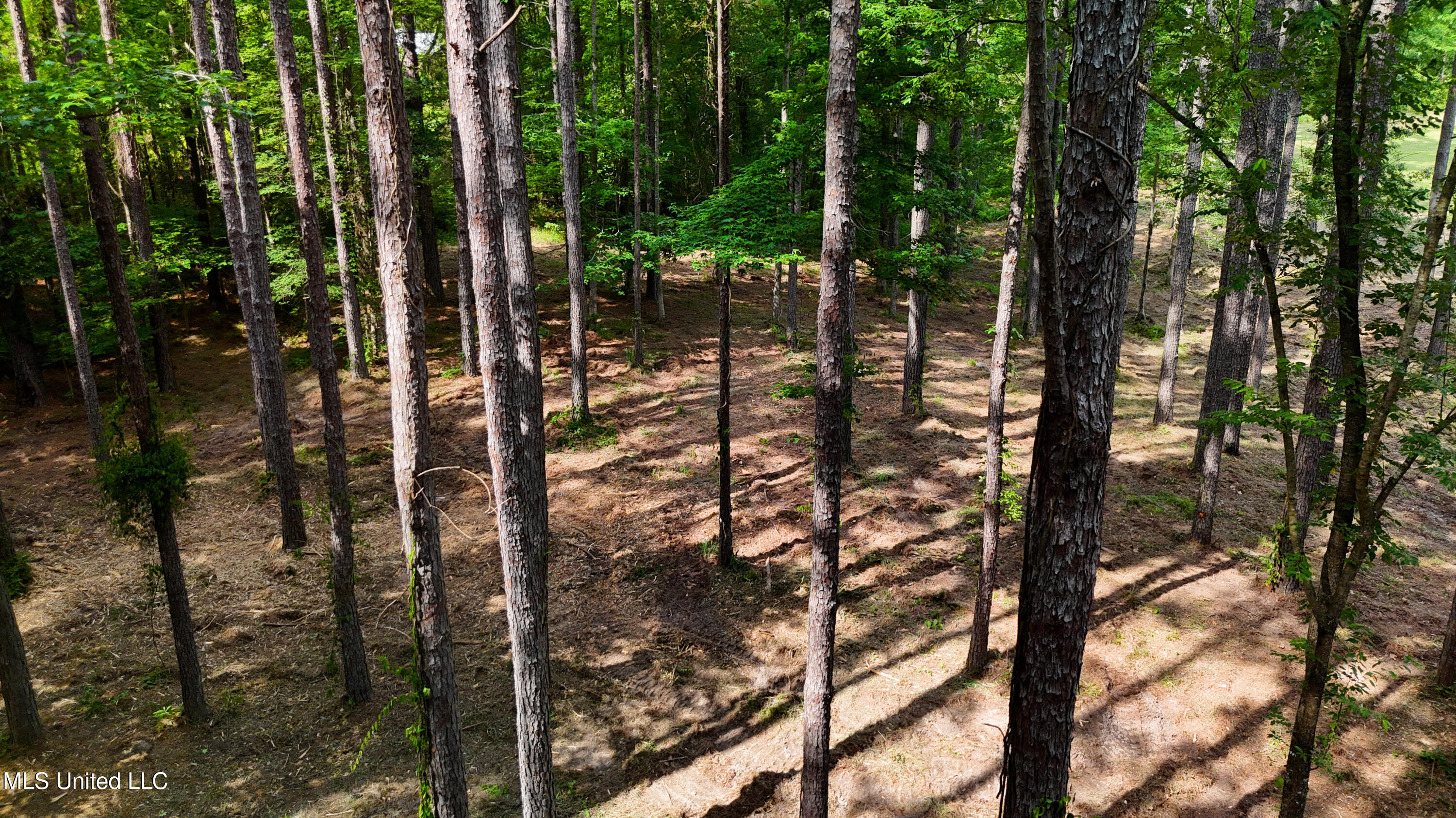 Dogwood Trace Property Photo 31
