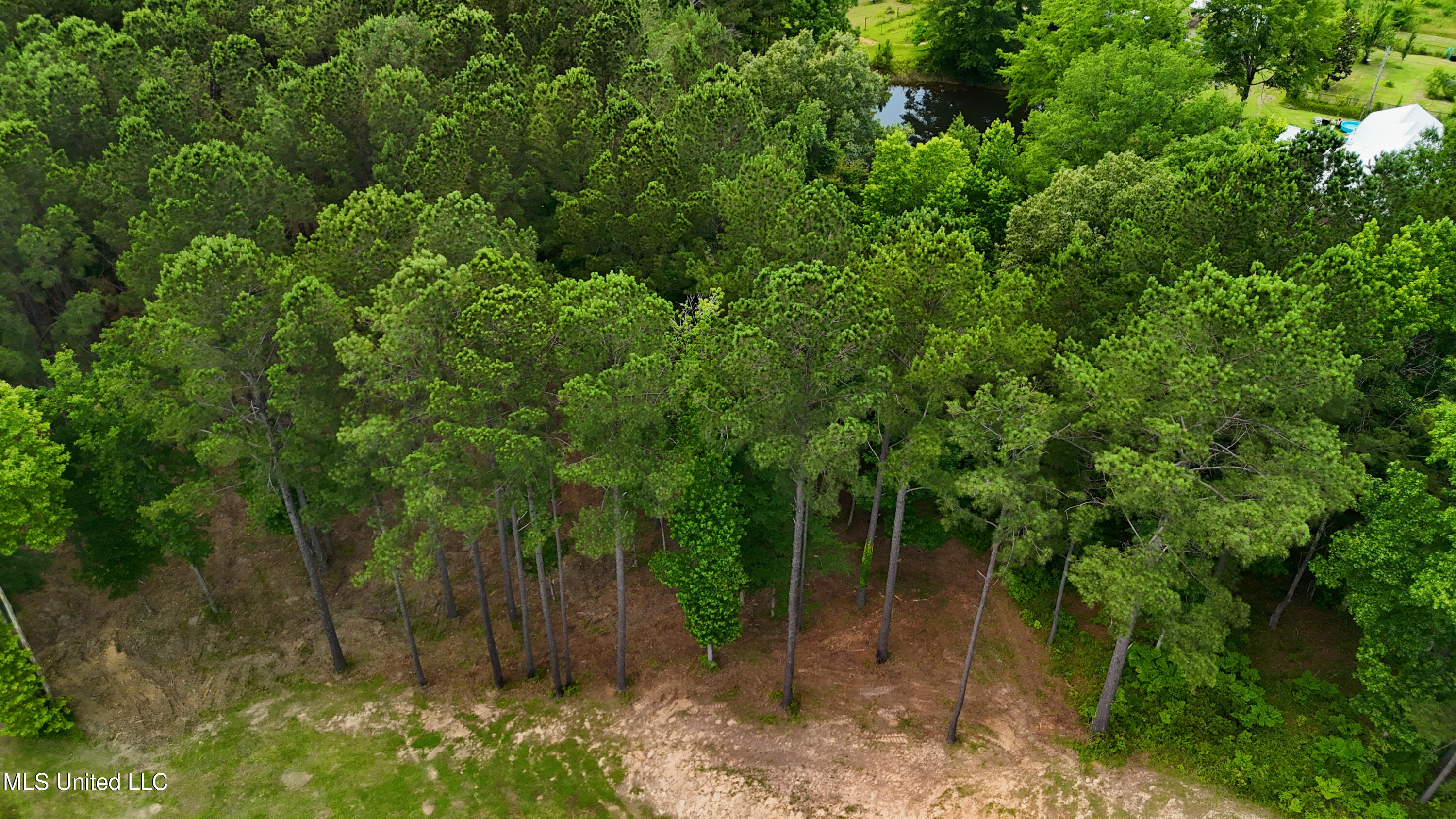 Dogwood Trace Property Photo 32