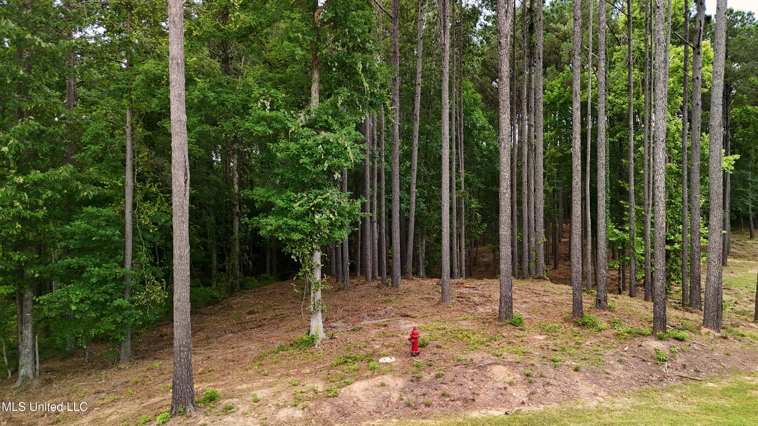 Dogwood Trace Property Photo 34