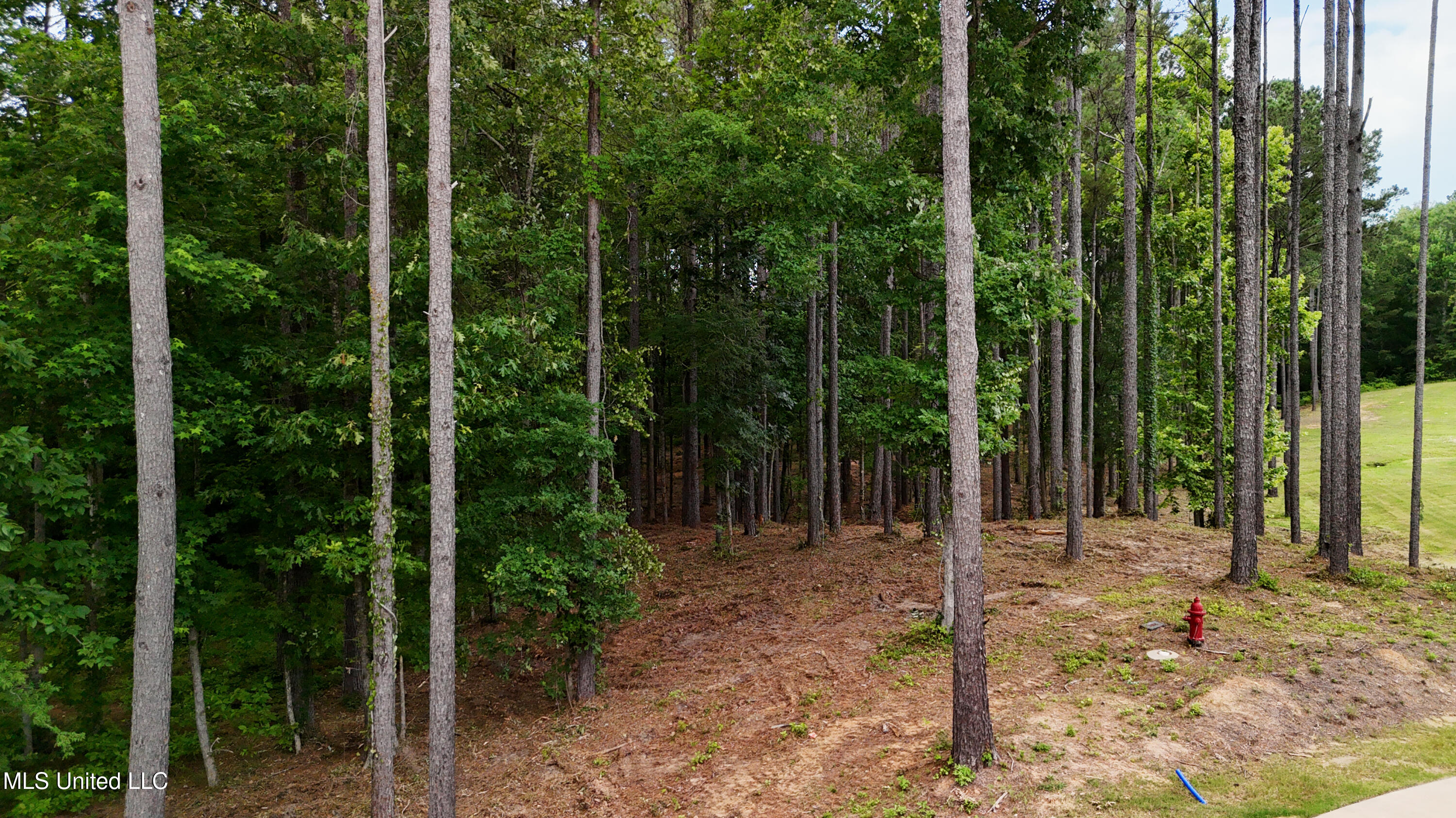Dogwood Trace Property Photo 35