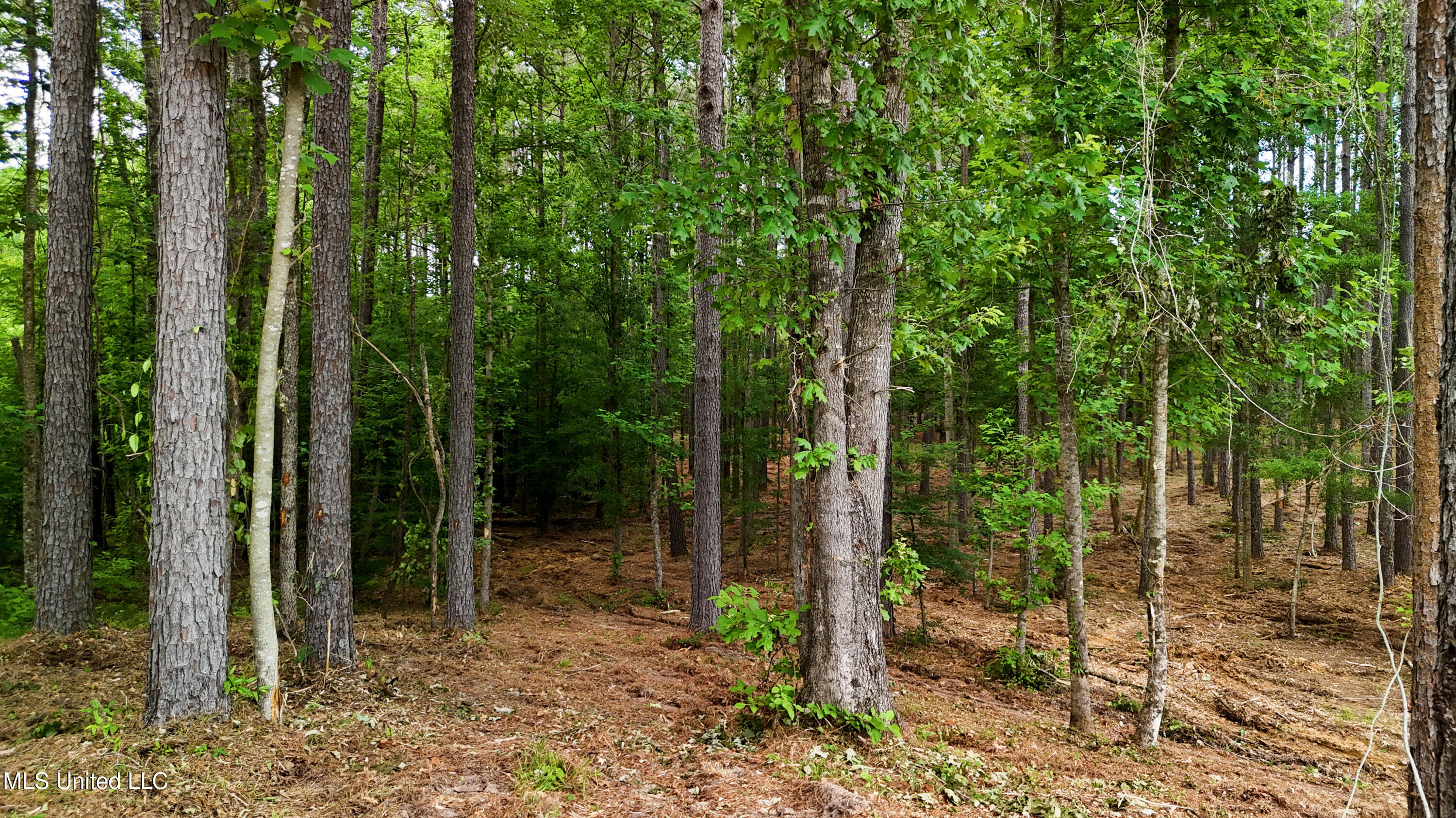 Dogwood Trace Property Photo 37