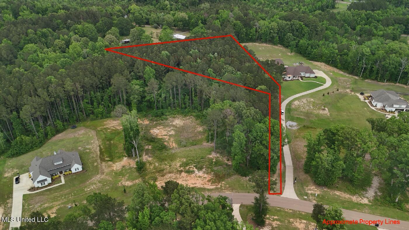 Dogwood Trace Property Photo 47