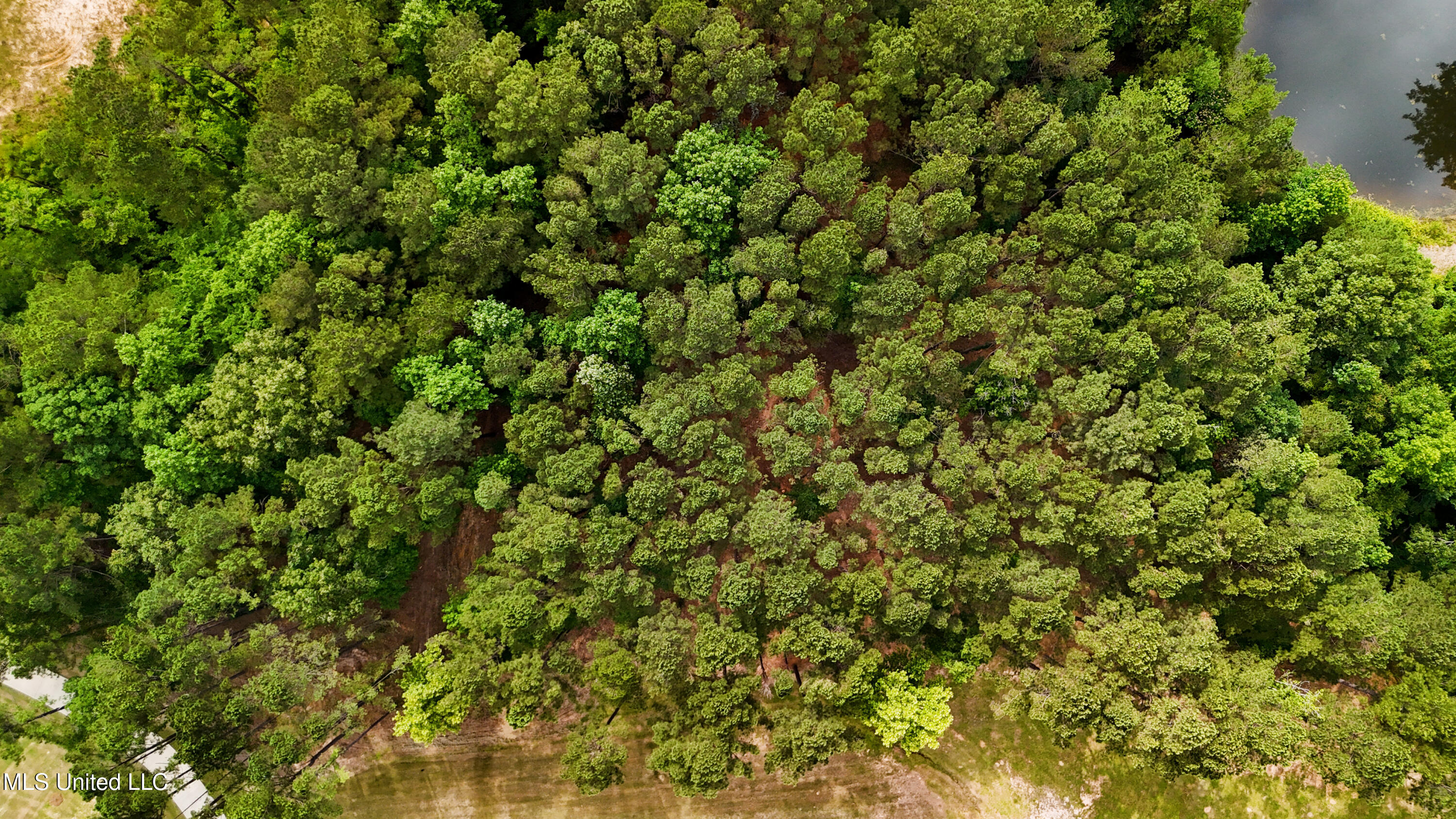 Dogwood Trace Property Photo 50