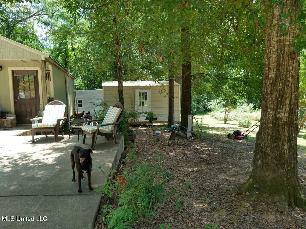 36 Wildlife Way Way Property Photo 9