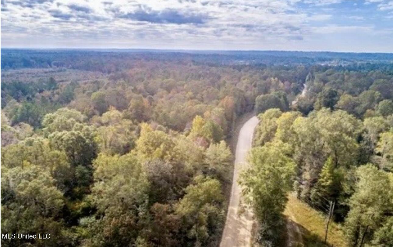 0 Locklear Rd. Road Property Photo 2