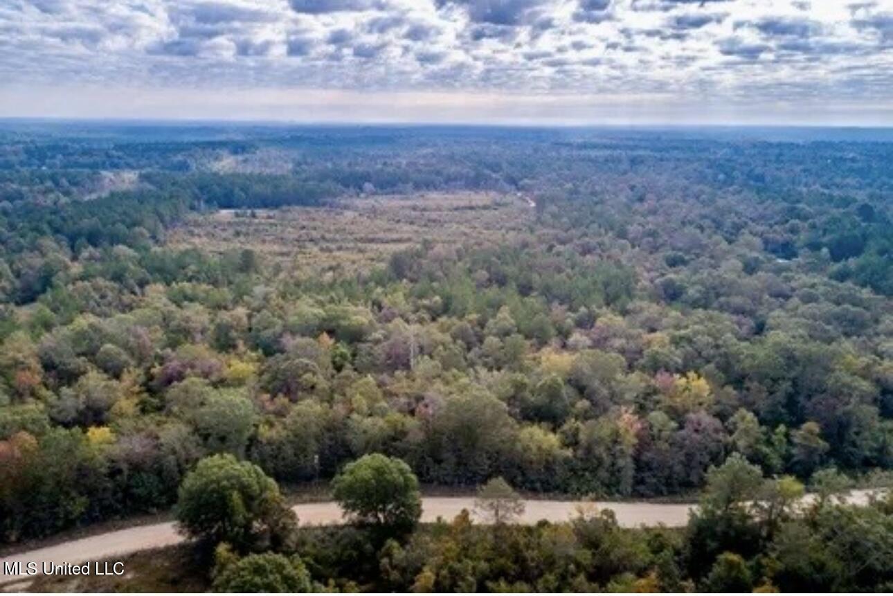 0 Locklear Rd. Road Property Photo 4