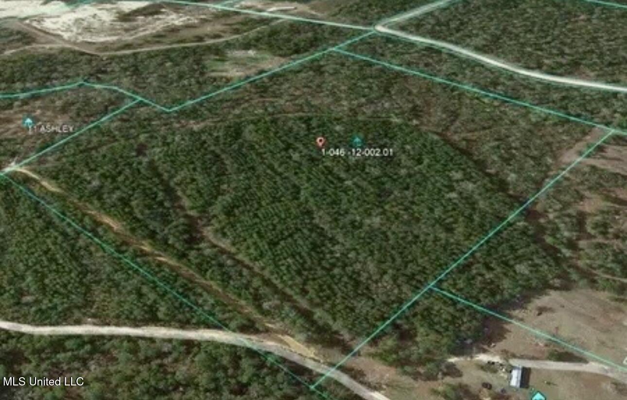 0 Locklear Rd. Road Property Photo 6
