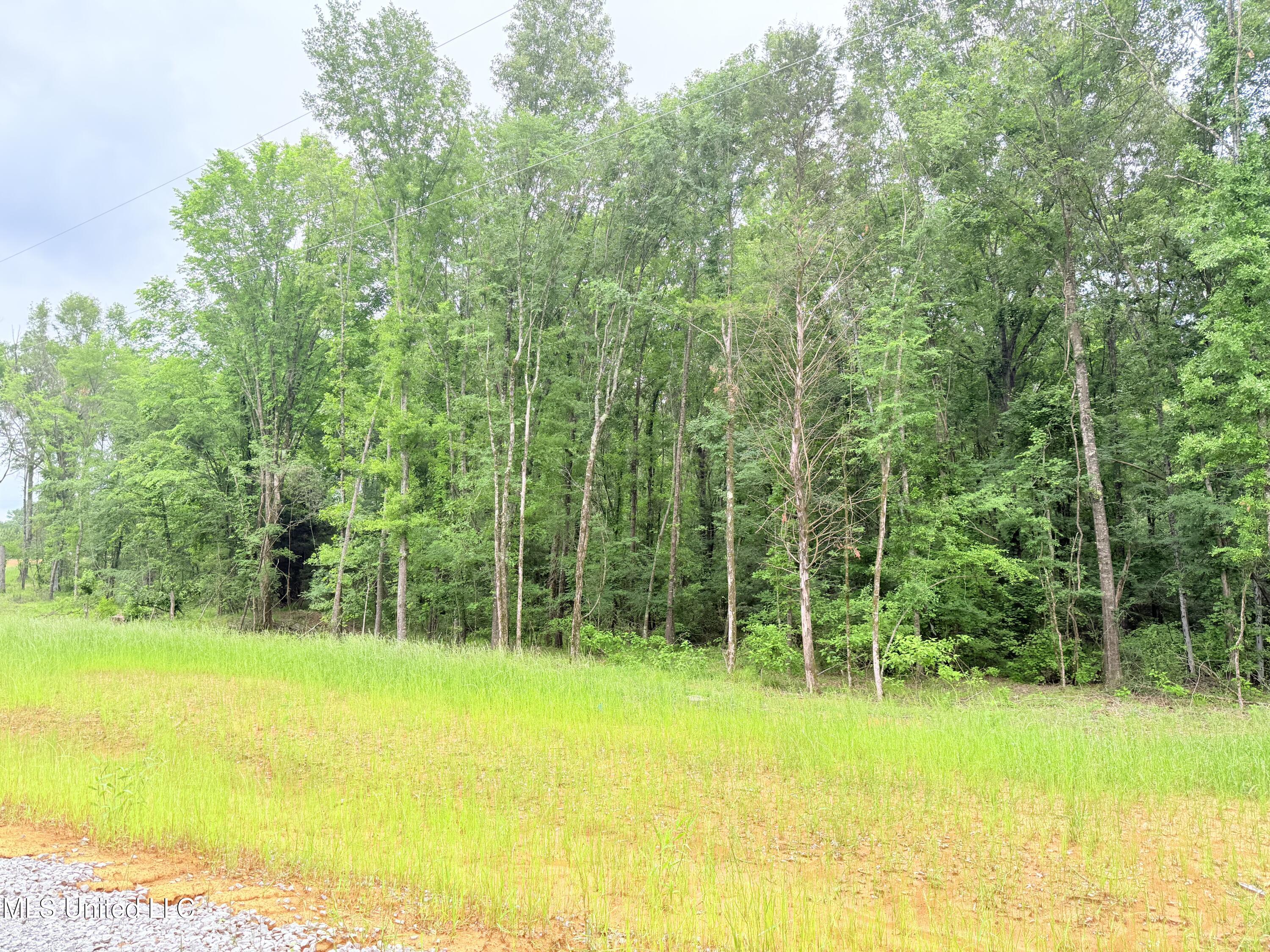 Stout Meadows Lane Property Photo 5