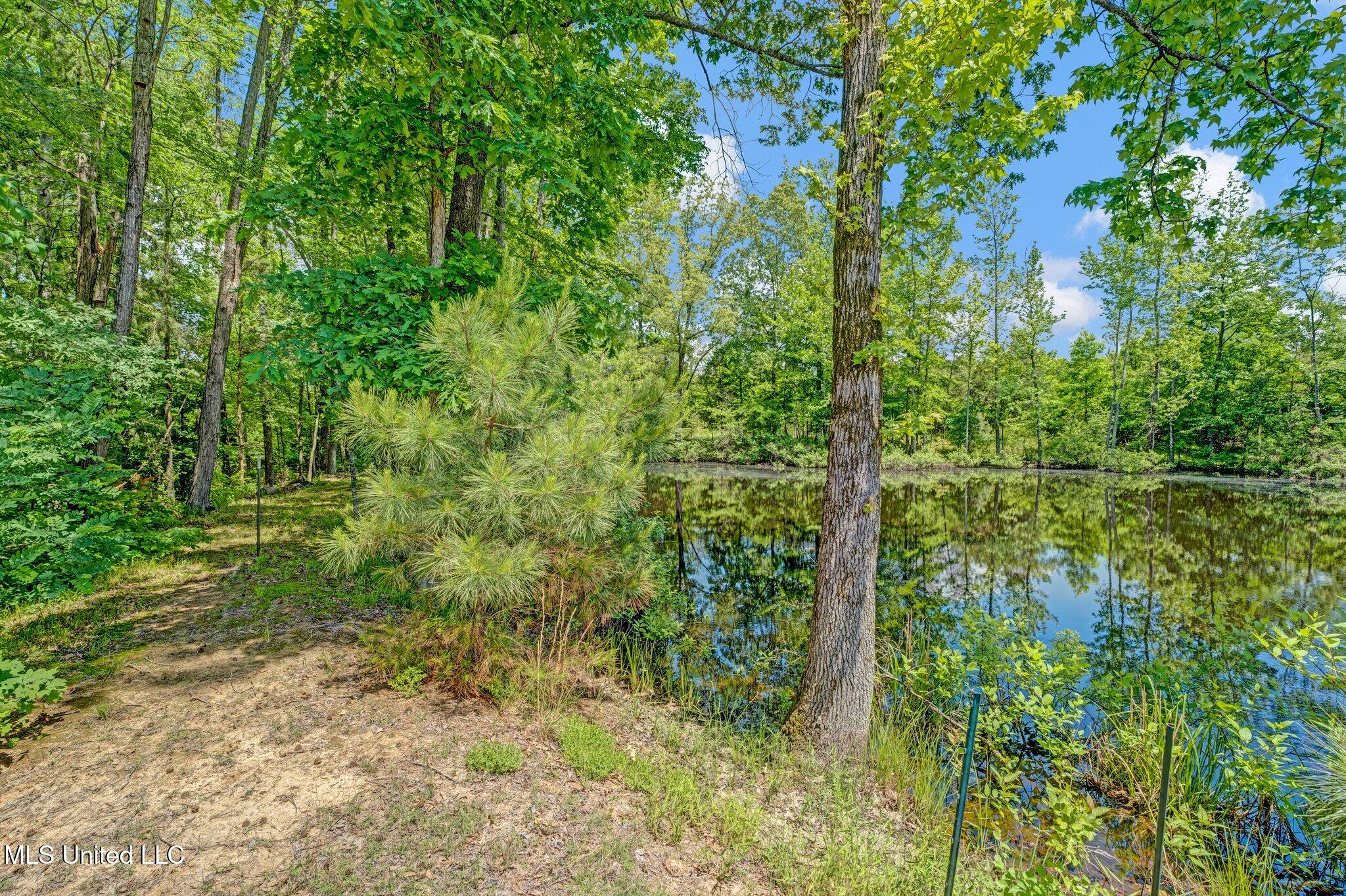 4884 Antebellum Lane Property Photo 54