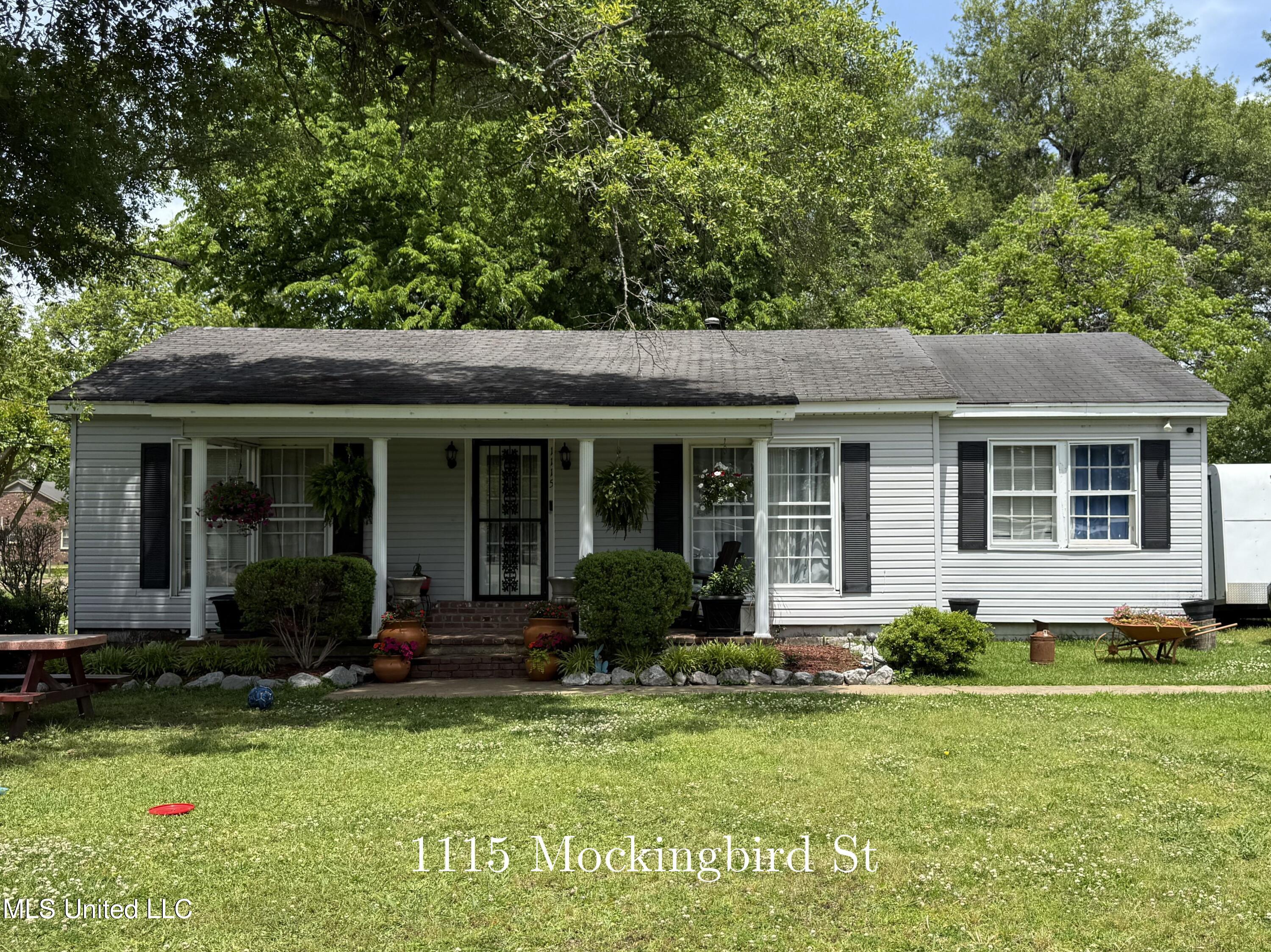 1115 Mockingbird Street Property Photo 1
